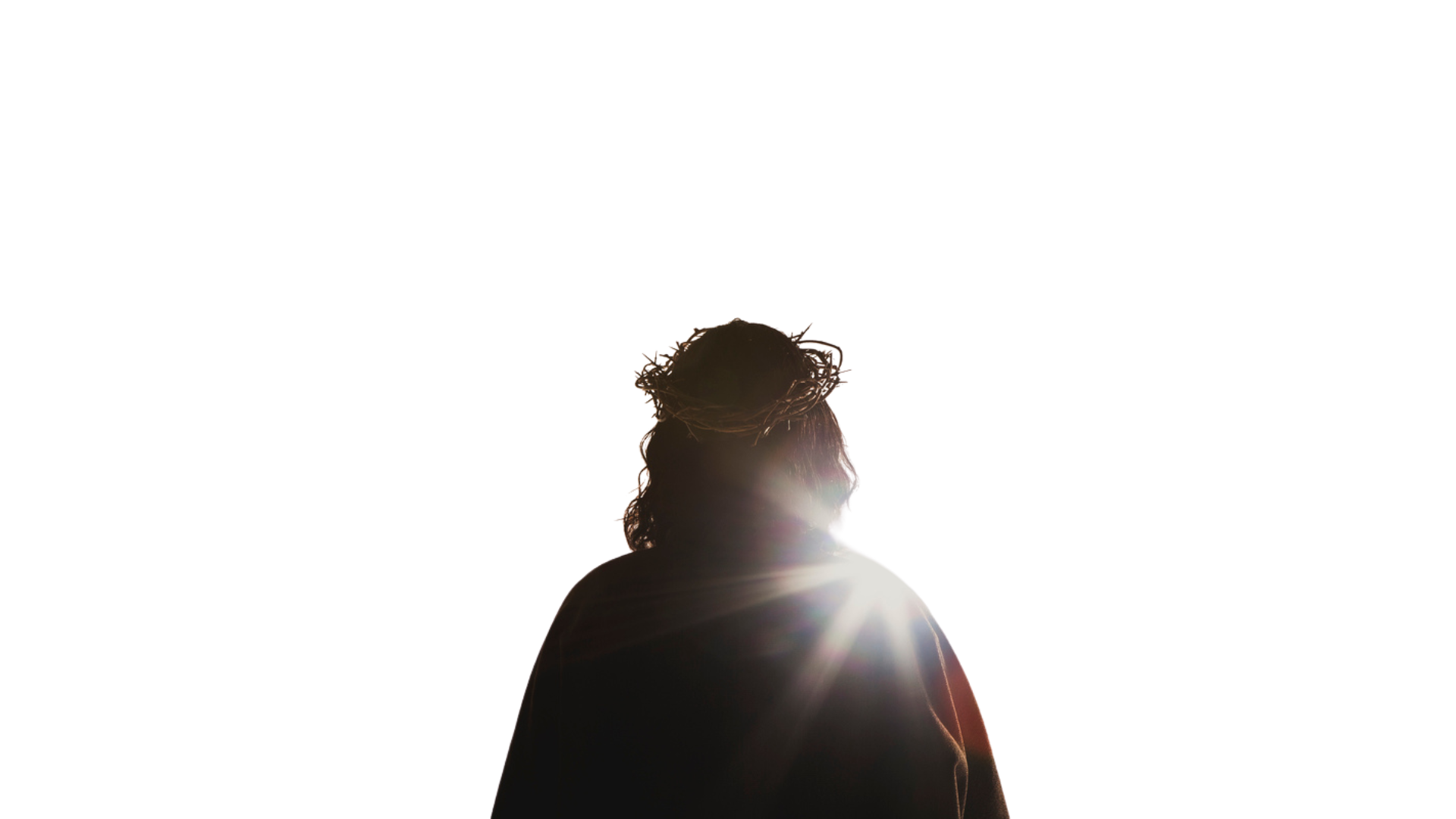 Untitled design (1).png