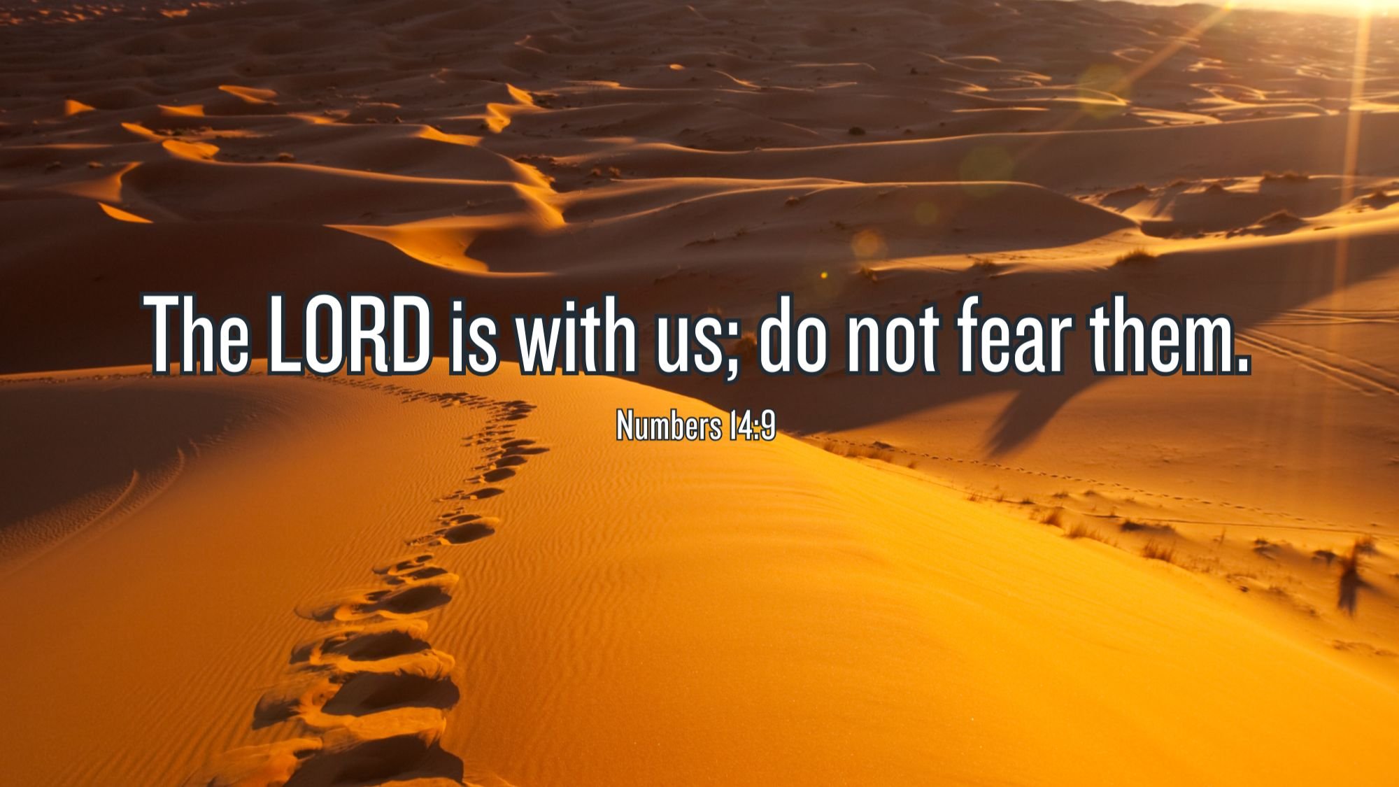 Numbers 14:9