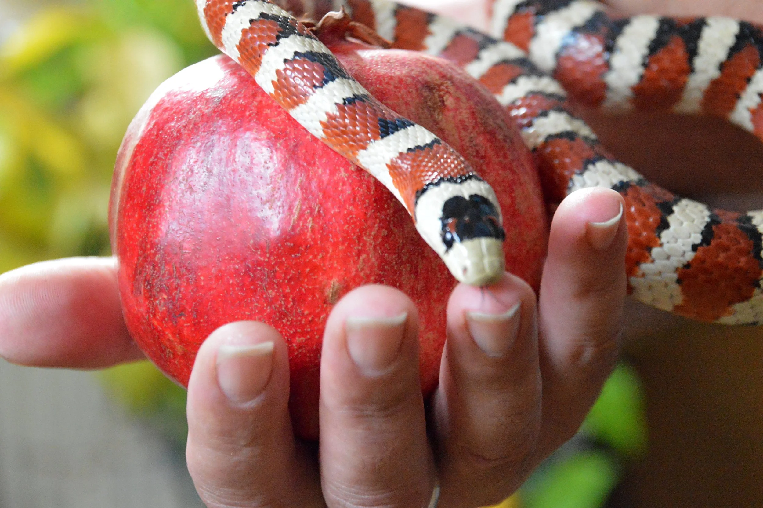 Total Depravity: The Doctrine Everyone Hates but Needs