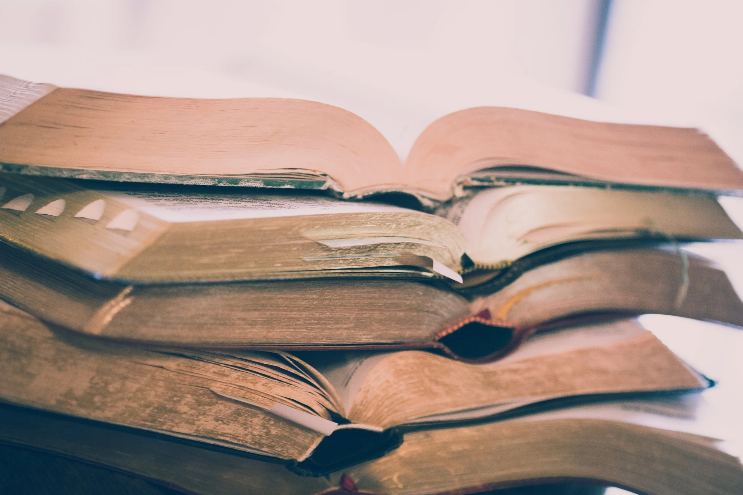 Why Are There So Many Interpretations of the Bible and What Should We Do About It?