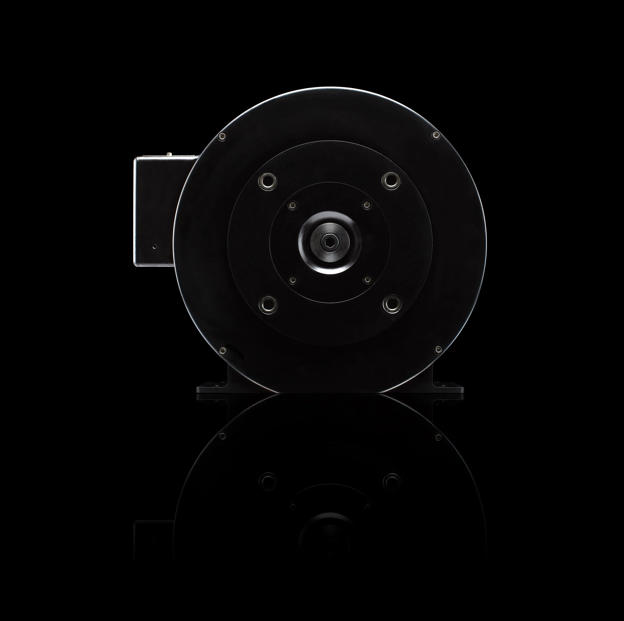 20210903_Zeus0198Alt 1.jpg