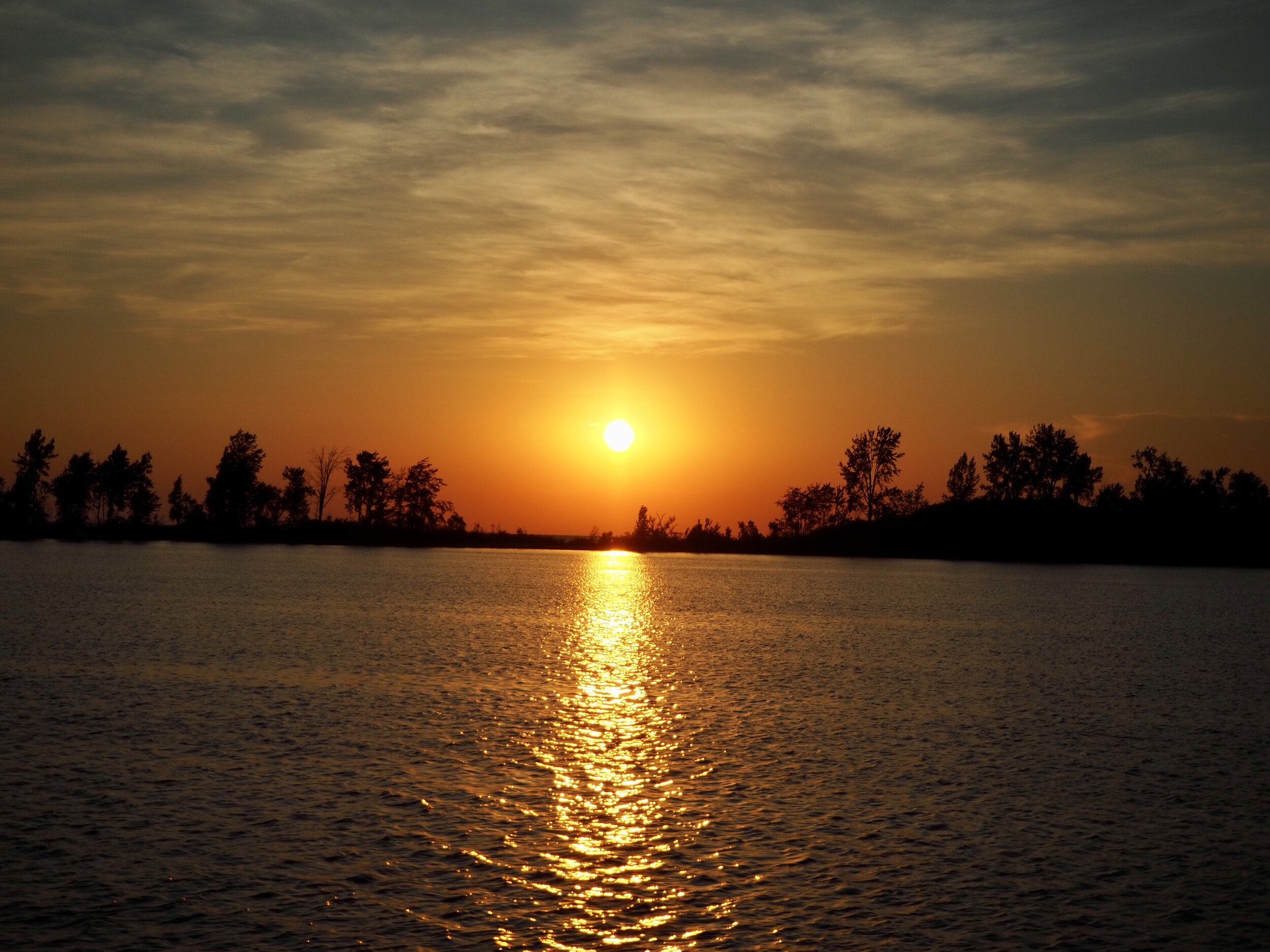 9EAA9BAB-DEE0-4243-A38F-150D5FB038A8_1_201_a.jpeg