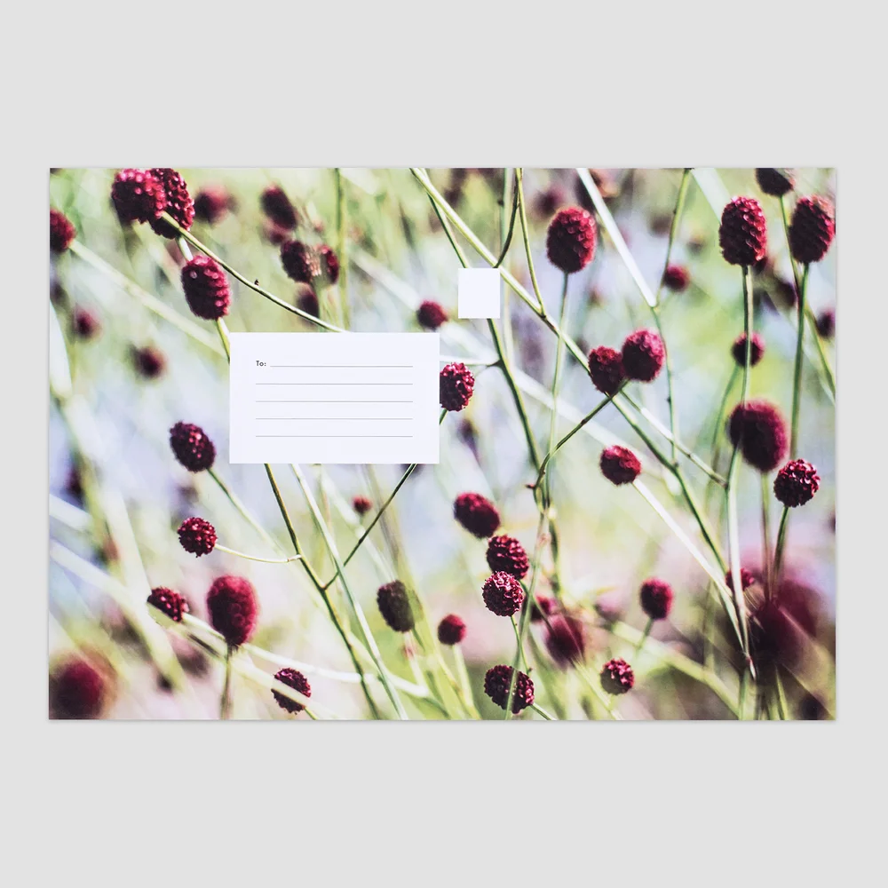 Fern Paper Co. folding wedding invitation meadow range red buttons Jo Hounsome Photography