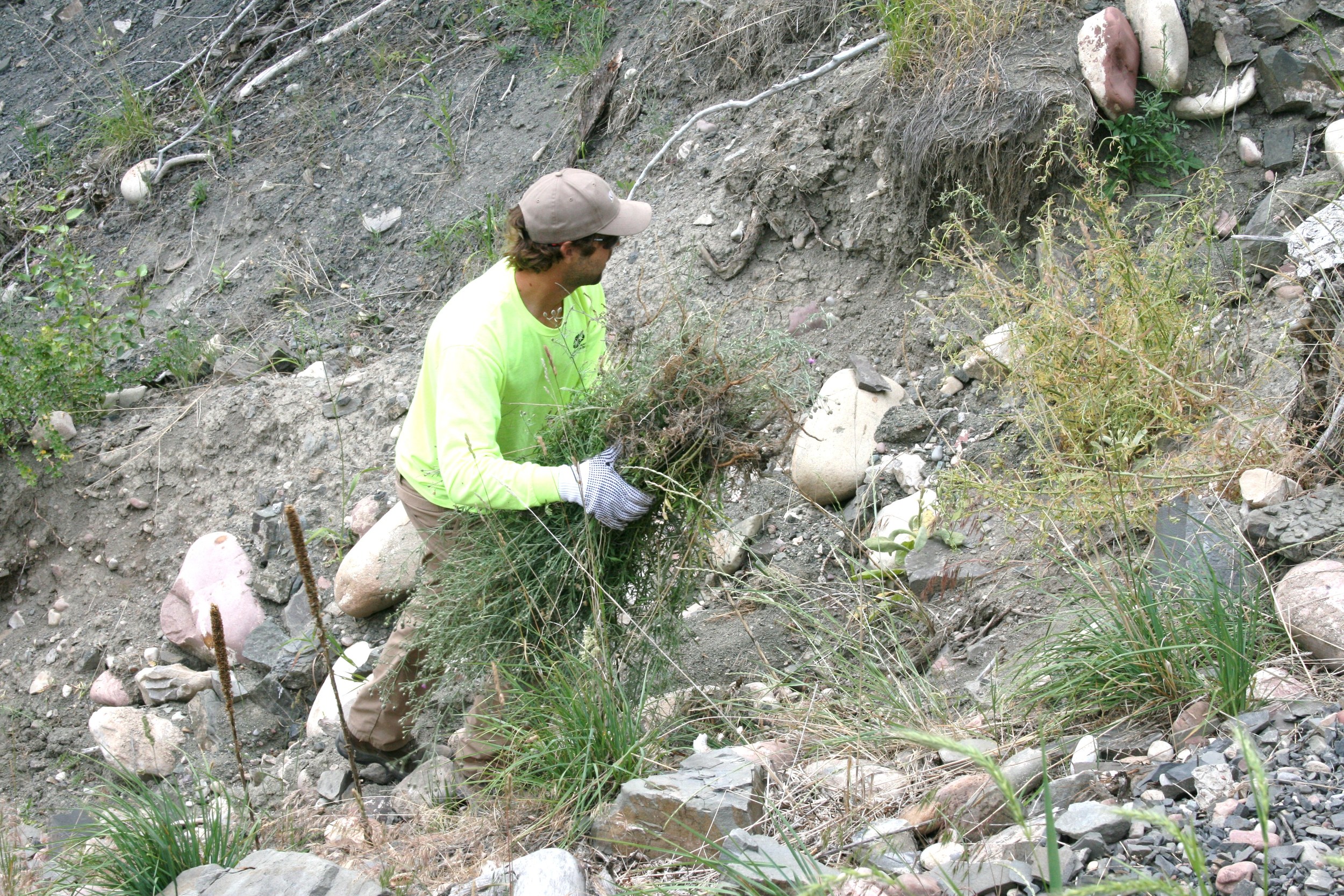 Sun Canyon Weed Whacker Rodeo 2015