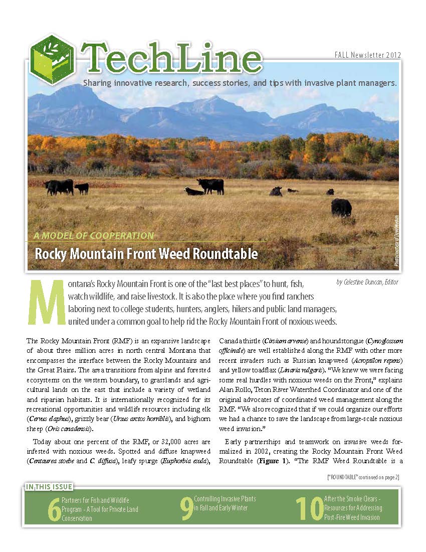 Techline_Fall2012 1.jpg