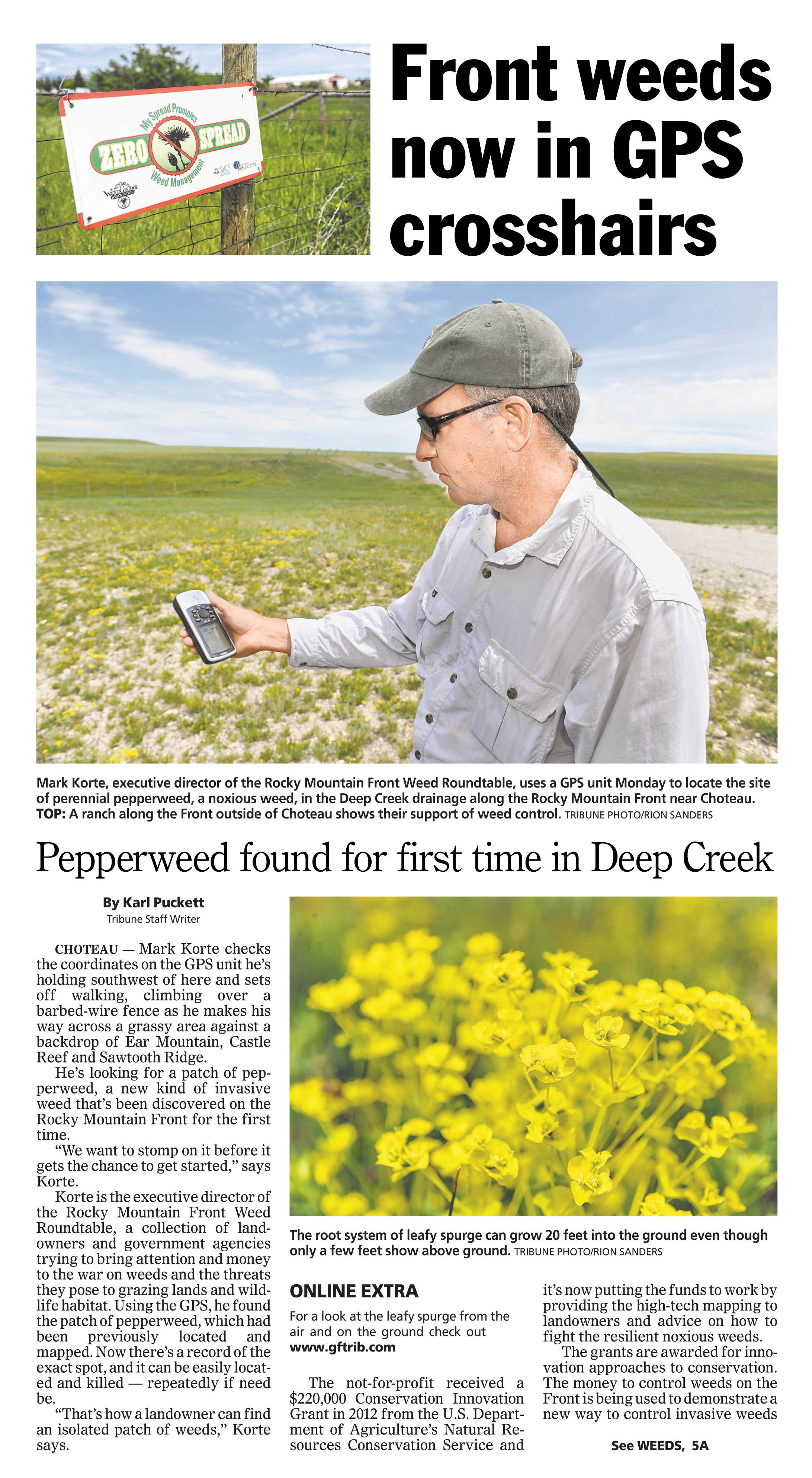 Perennial Pepperweed_TribuneArticle6.25.2013 1.jpg