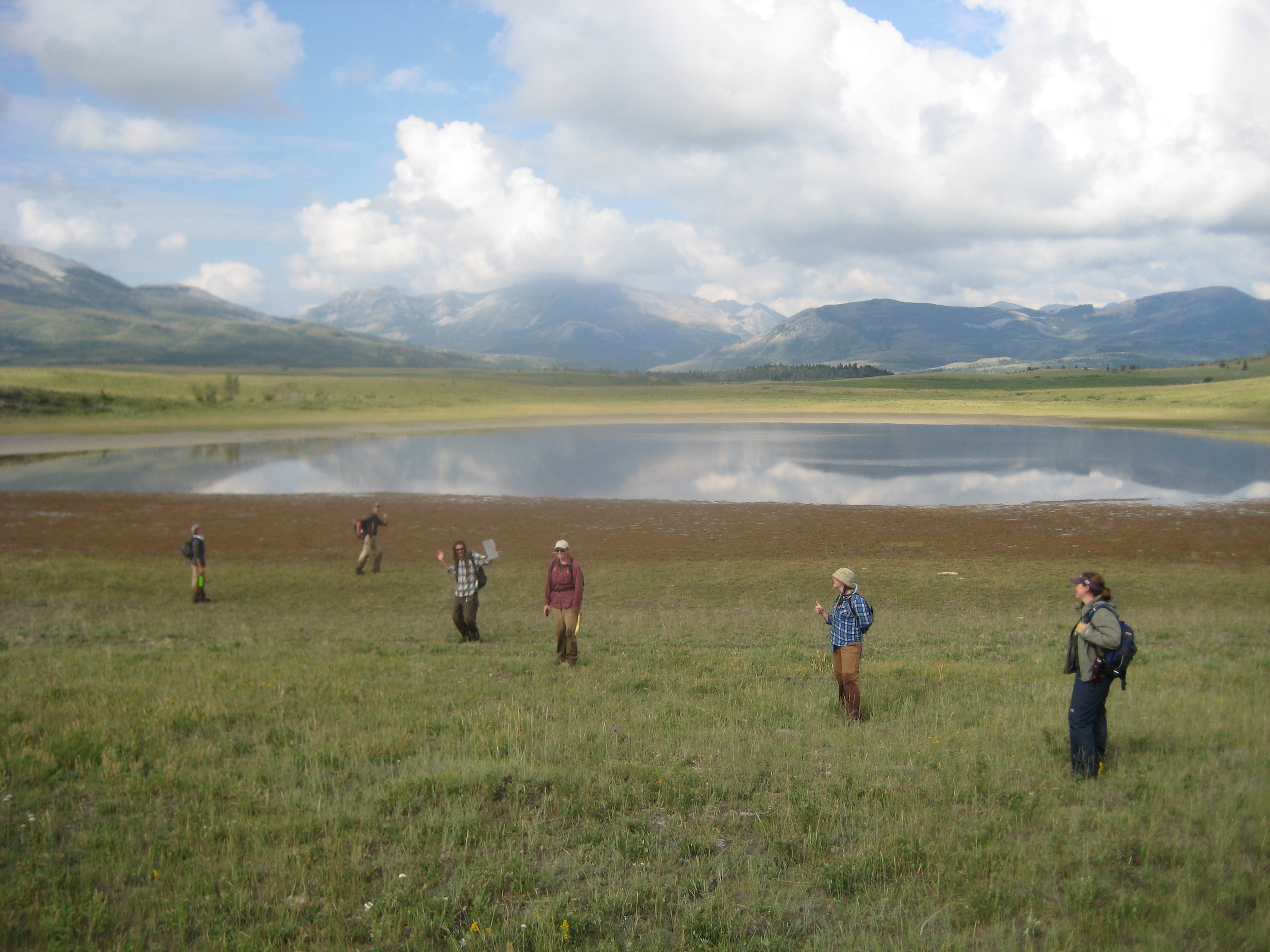 2009 Birch Creek weed mapping