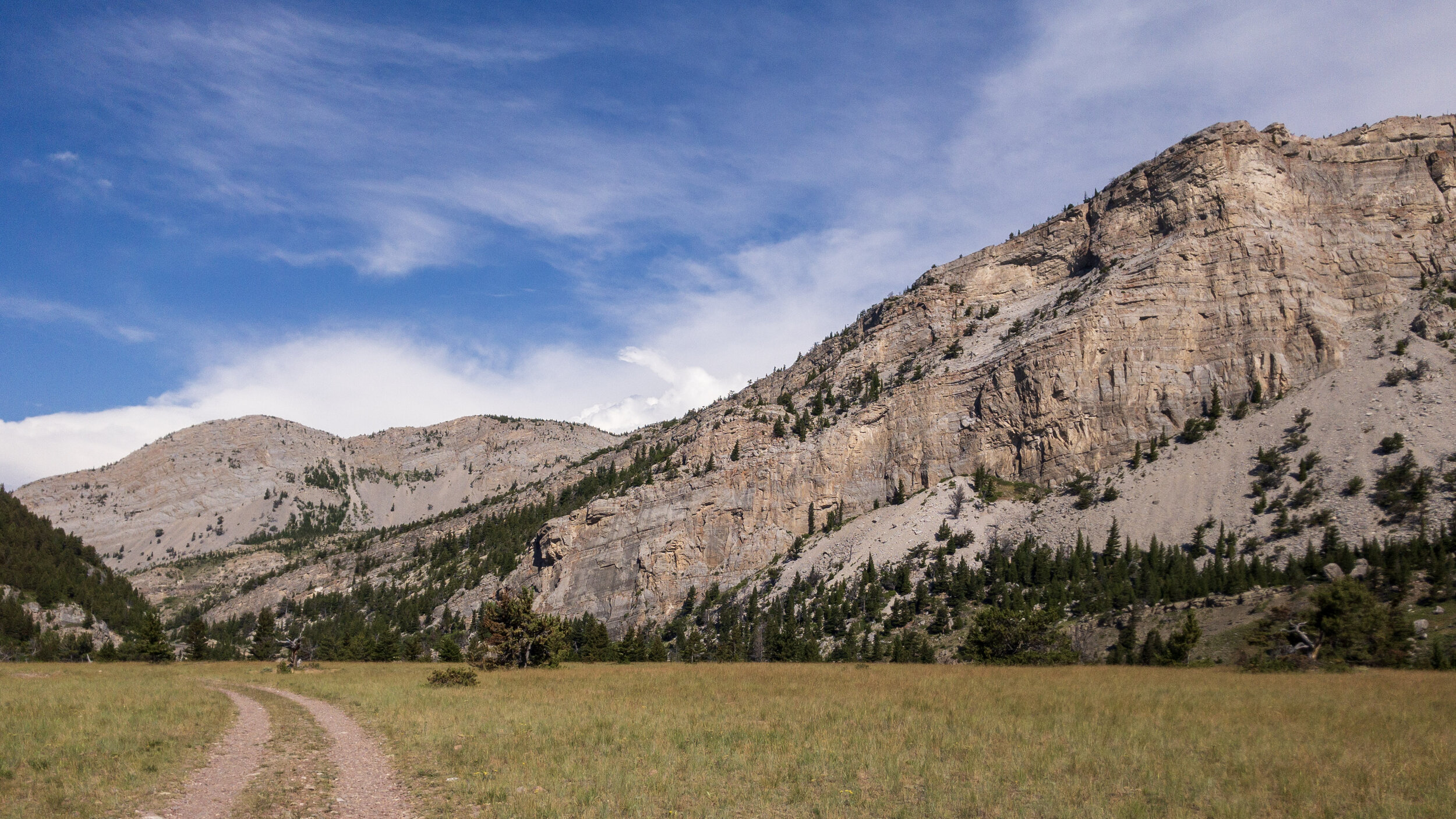 Sun Canyon Weed Pull 2019