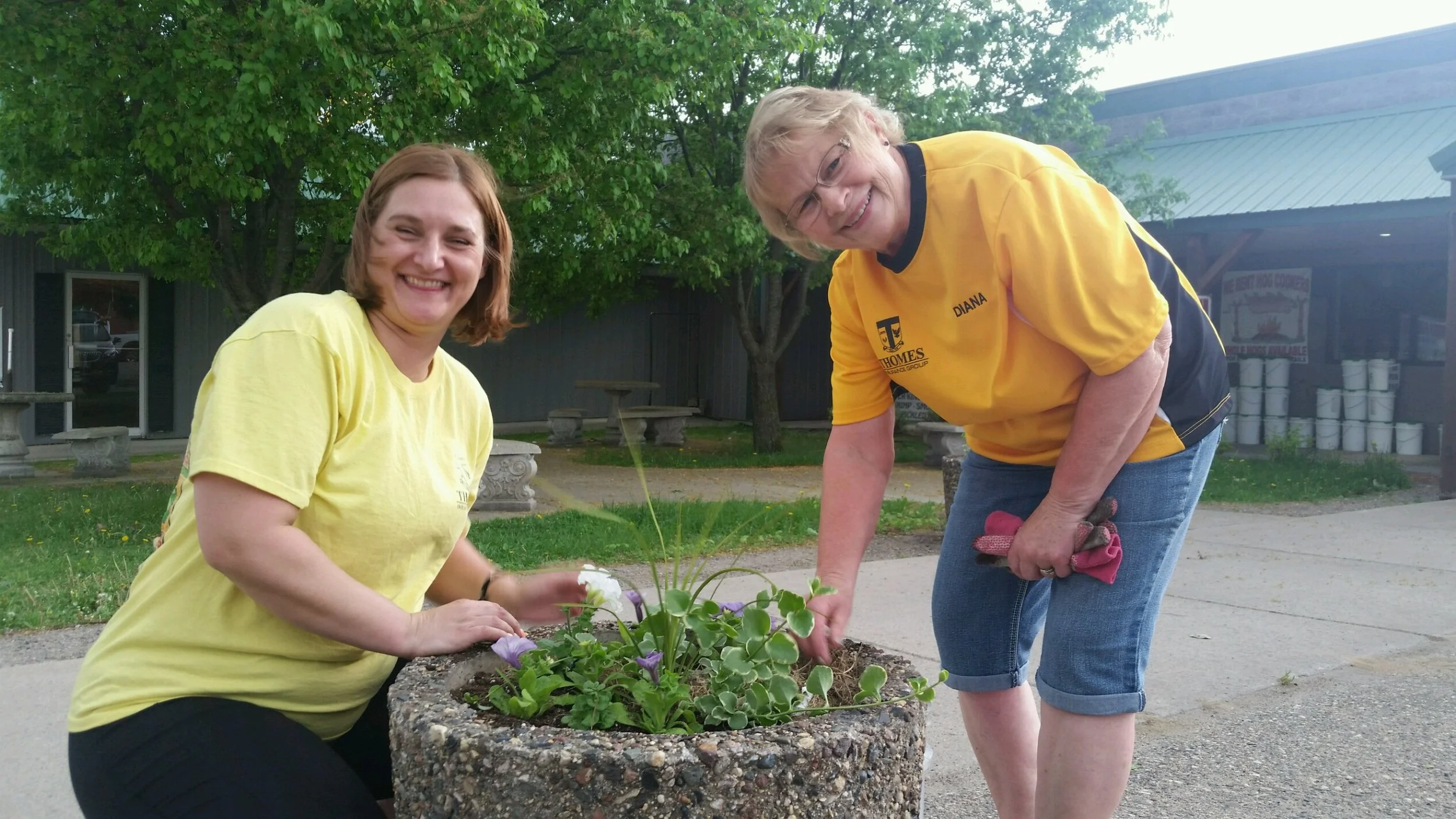 Kimball, MN – Planting flowers March 24, 2018