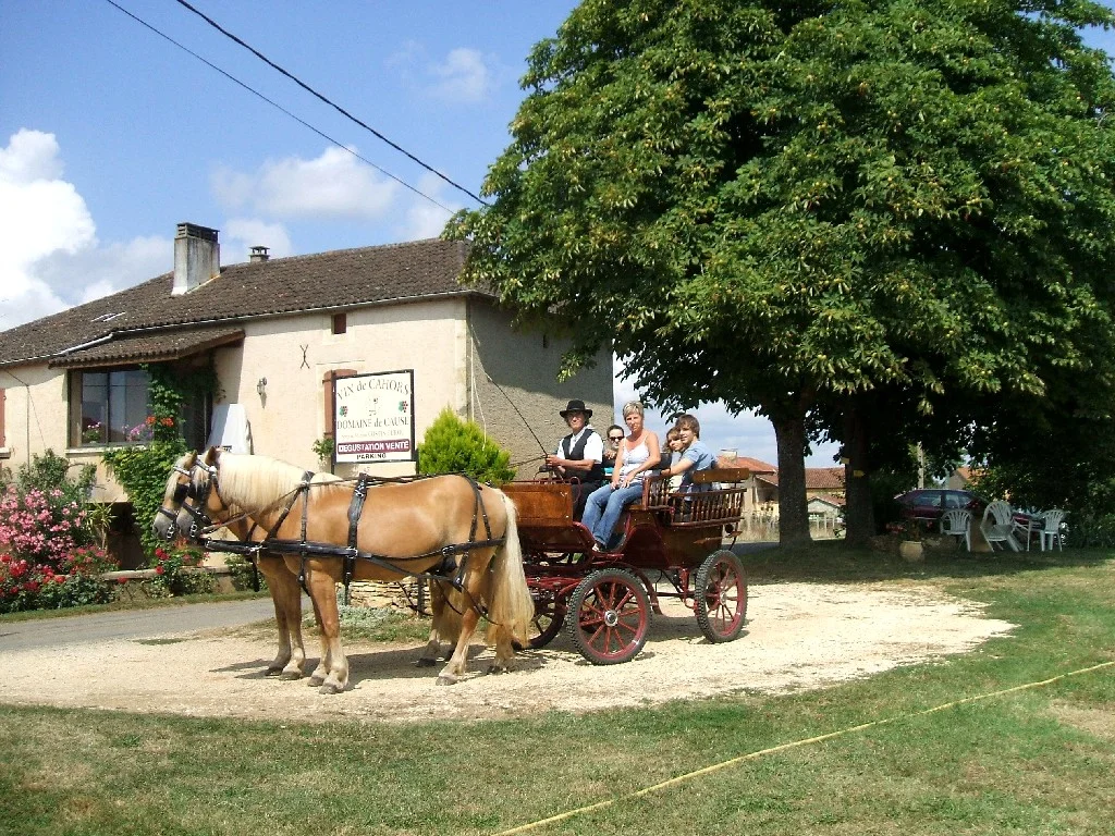 DSCF5774.jpg