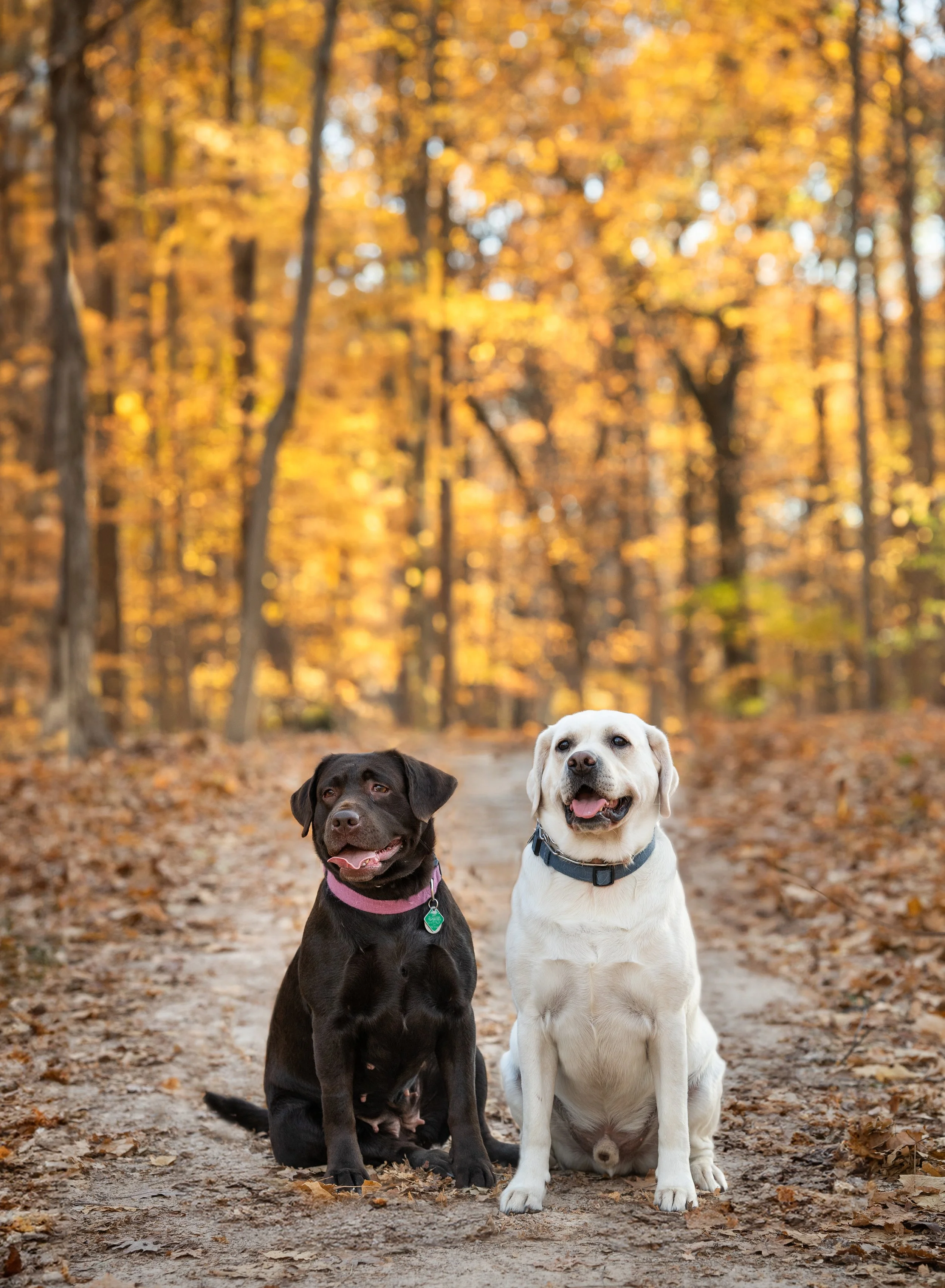 KramerFamilySession'24-1.jpg