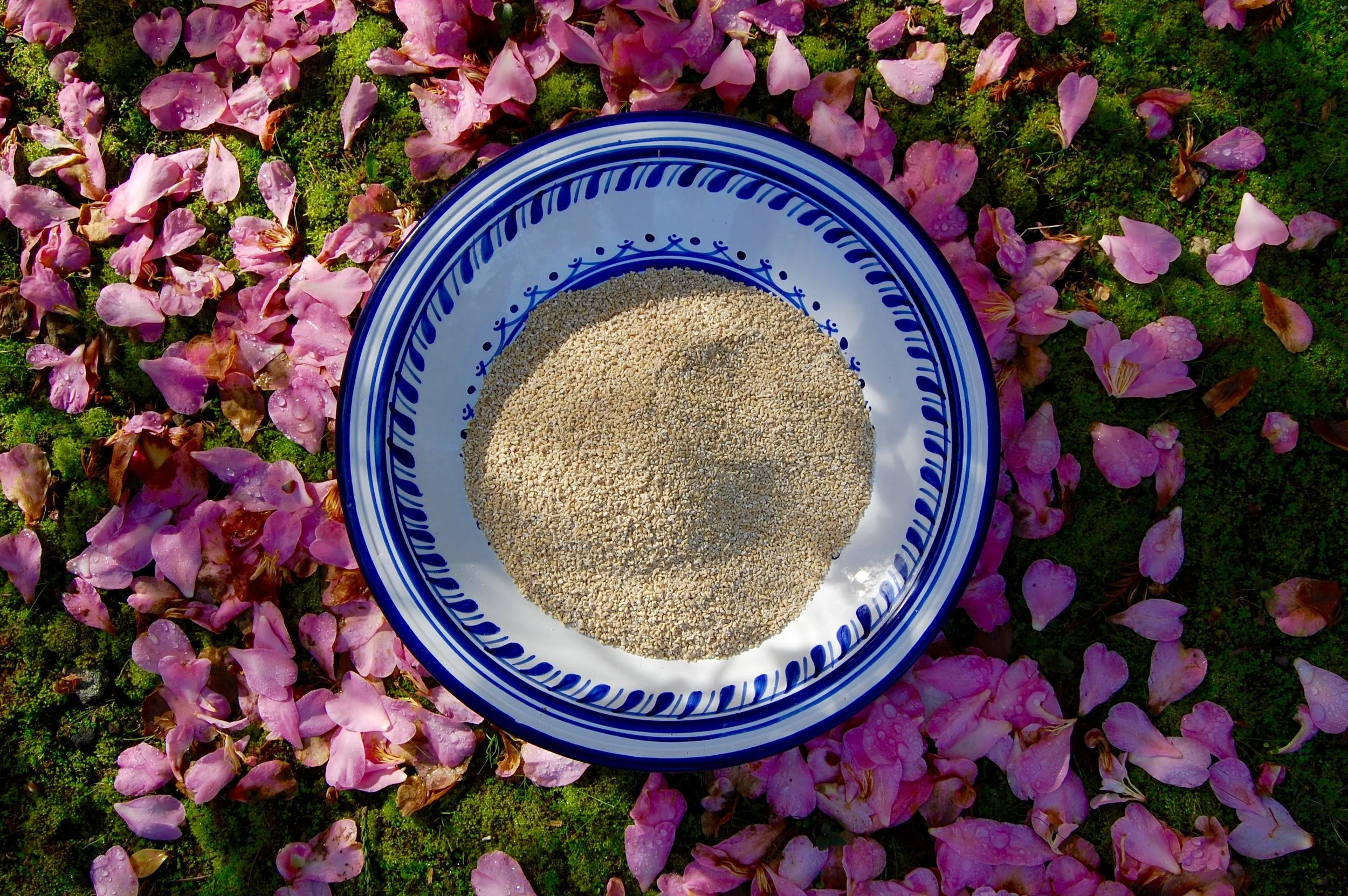 A bowl of dry, steel-cut oats.