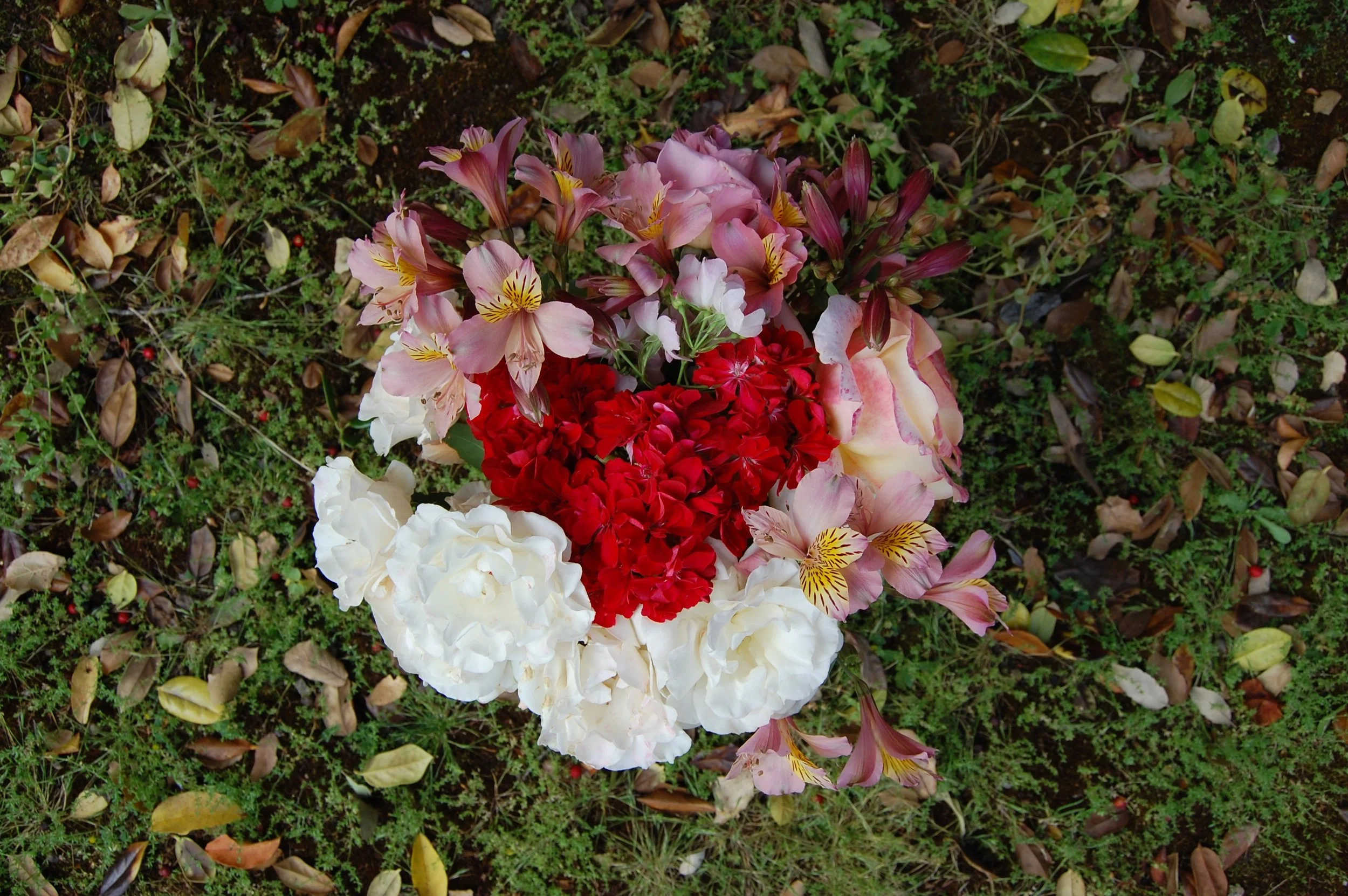 FlowerHeart.jpg