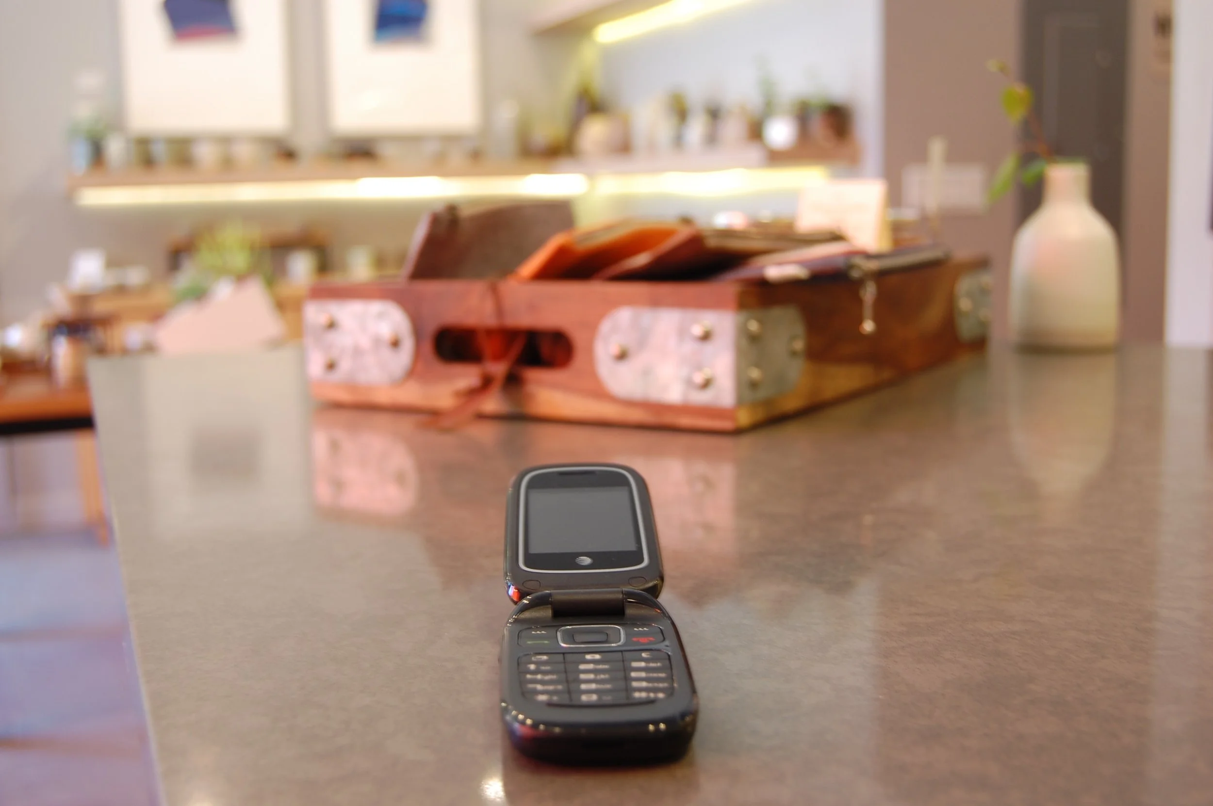 My Flip Phone.