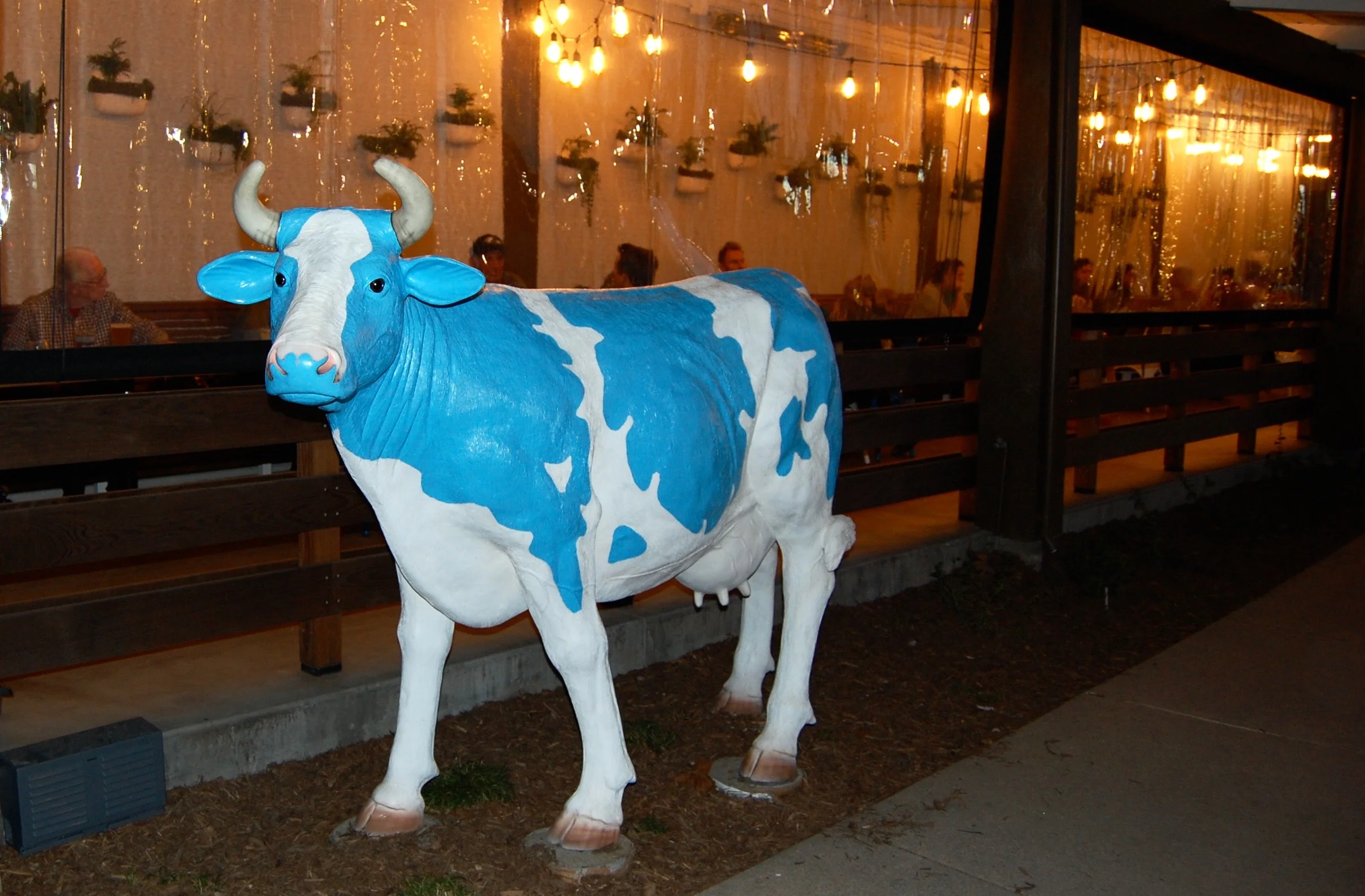 The Mendocino Farms Cow