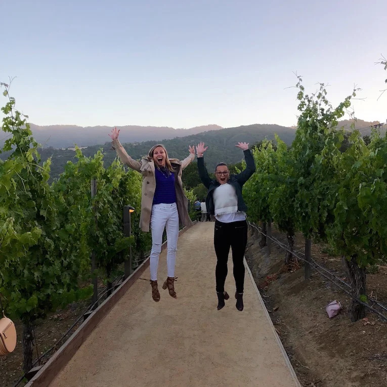 Vineyards.jpg