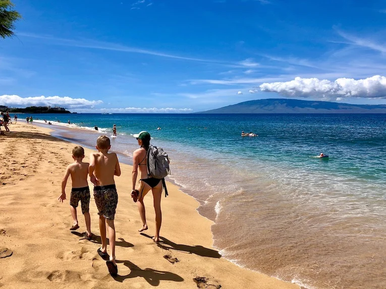 Do: West Maui Eats &amp; Excursions