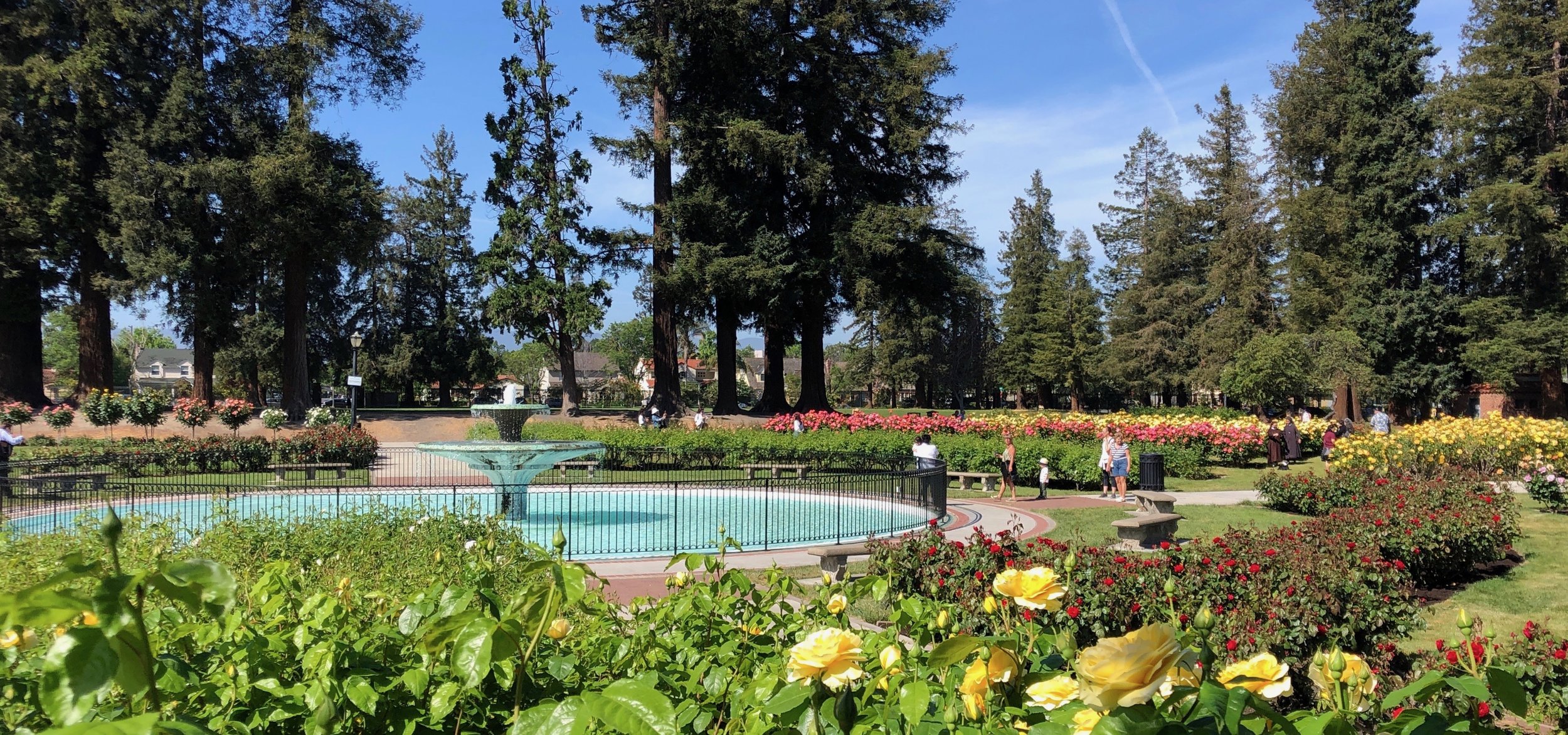 MunicipalRoseGarden.jpeg