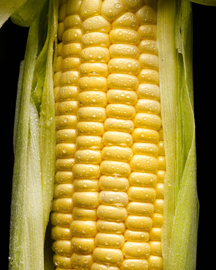 05_Corn_00004.jpg