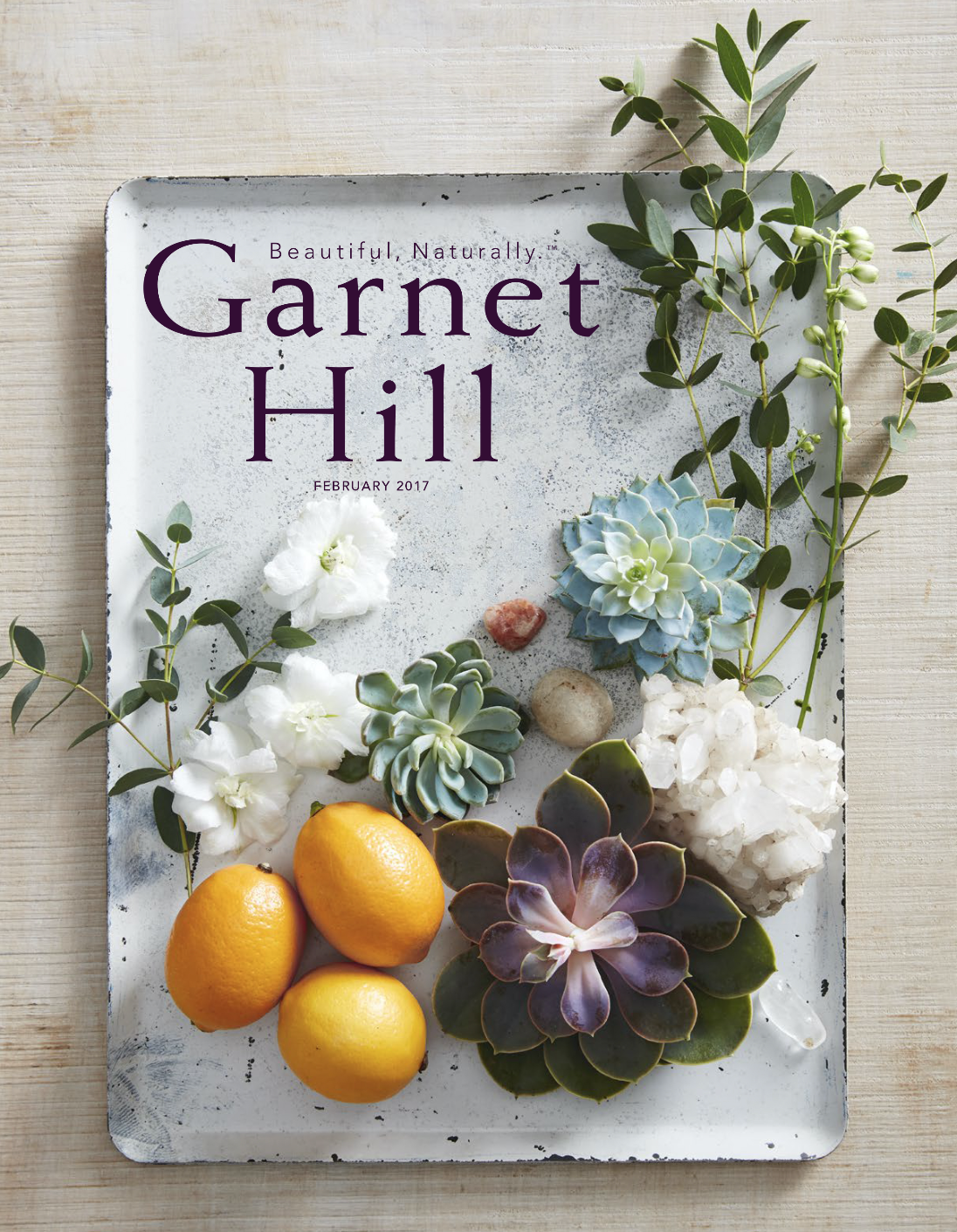 Garnet Hill Cover.png