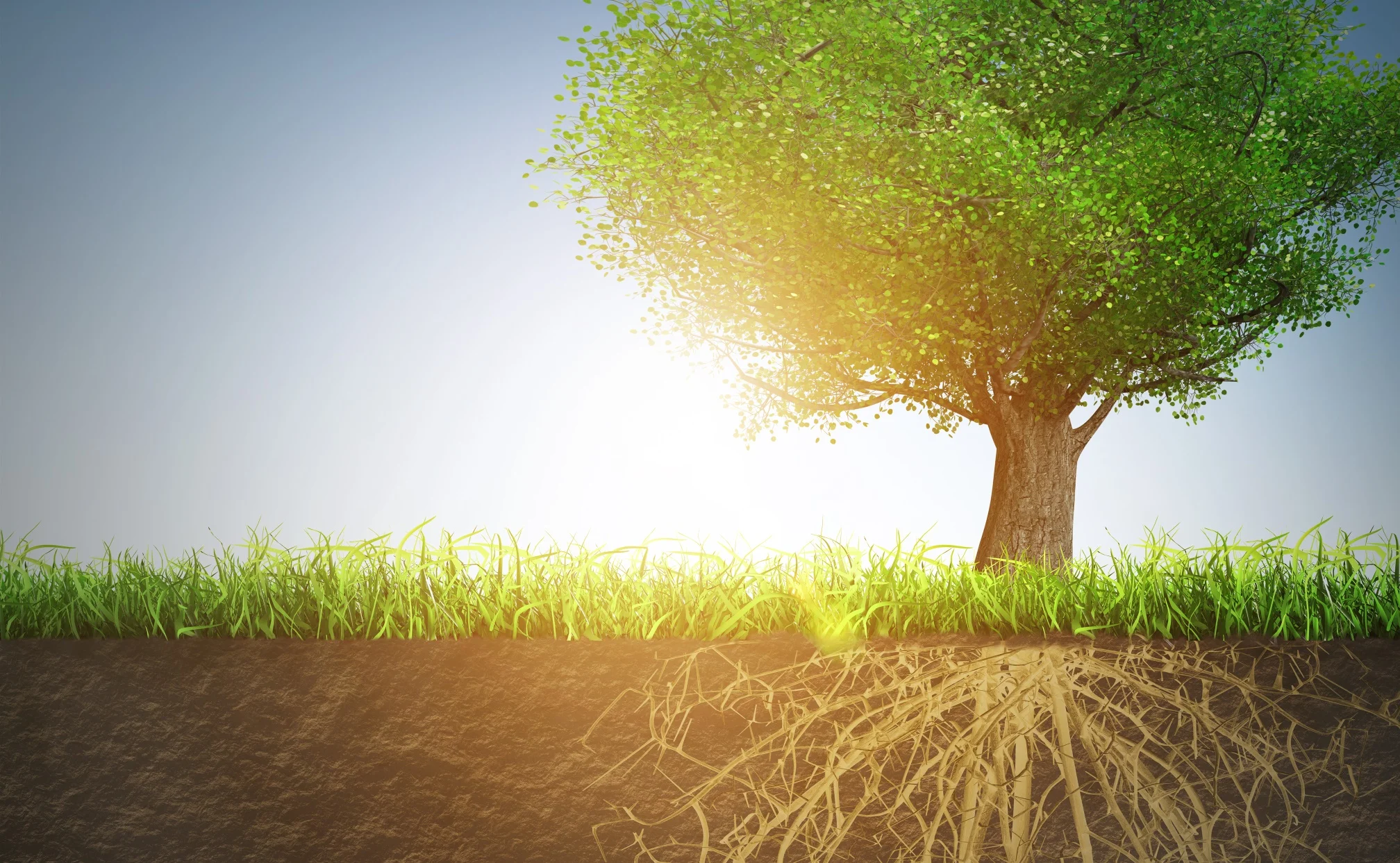 AdobeStock_68841984- banner3.jpeg