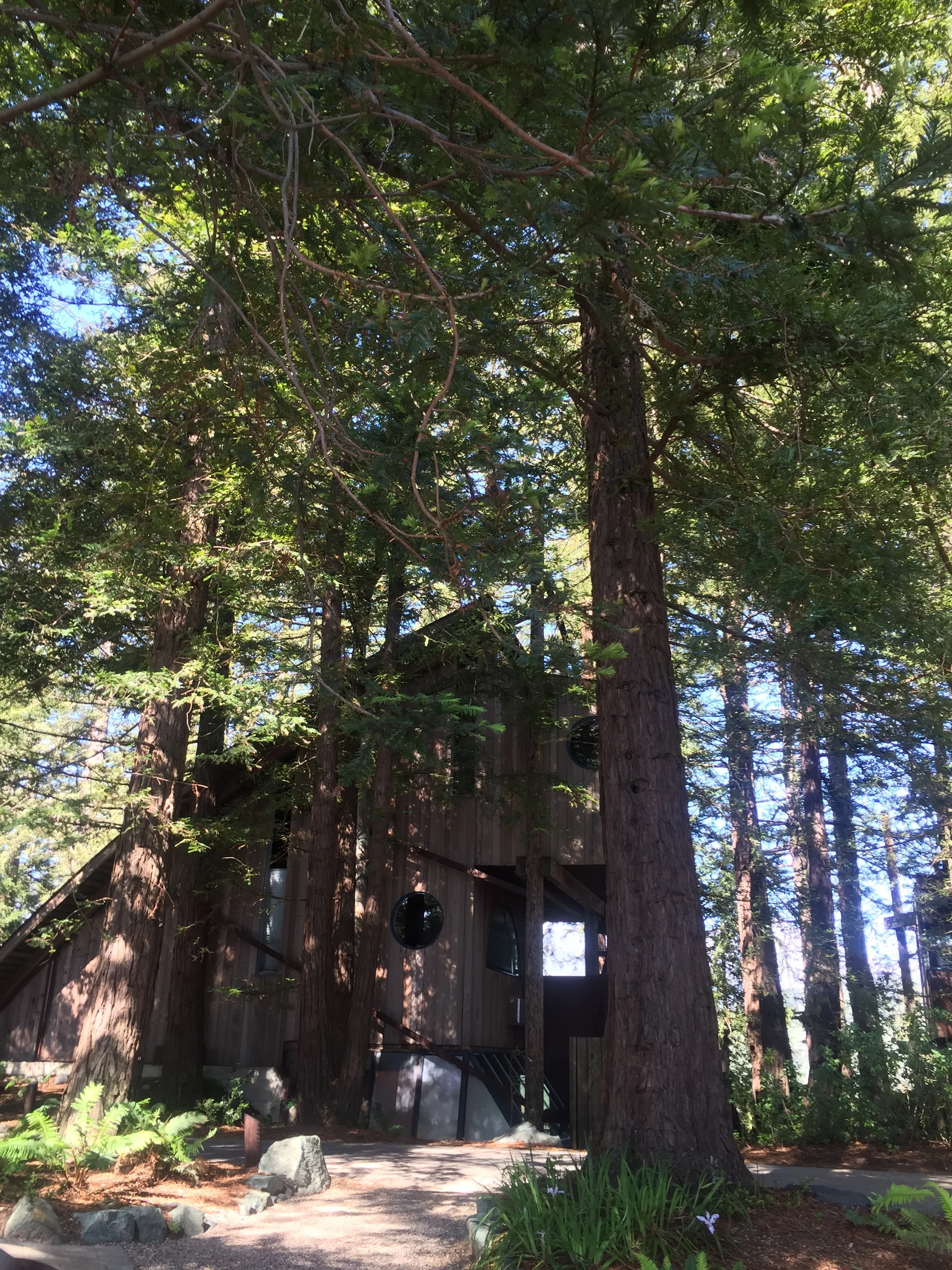Post Ranch Inn Tree House 