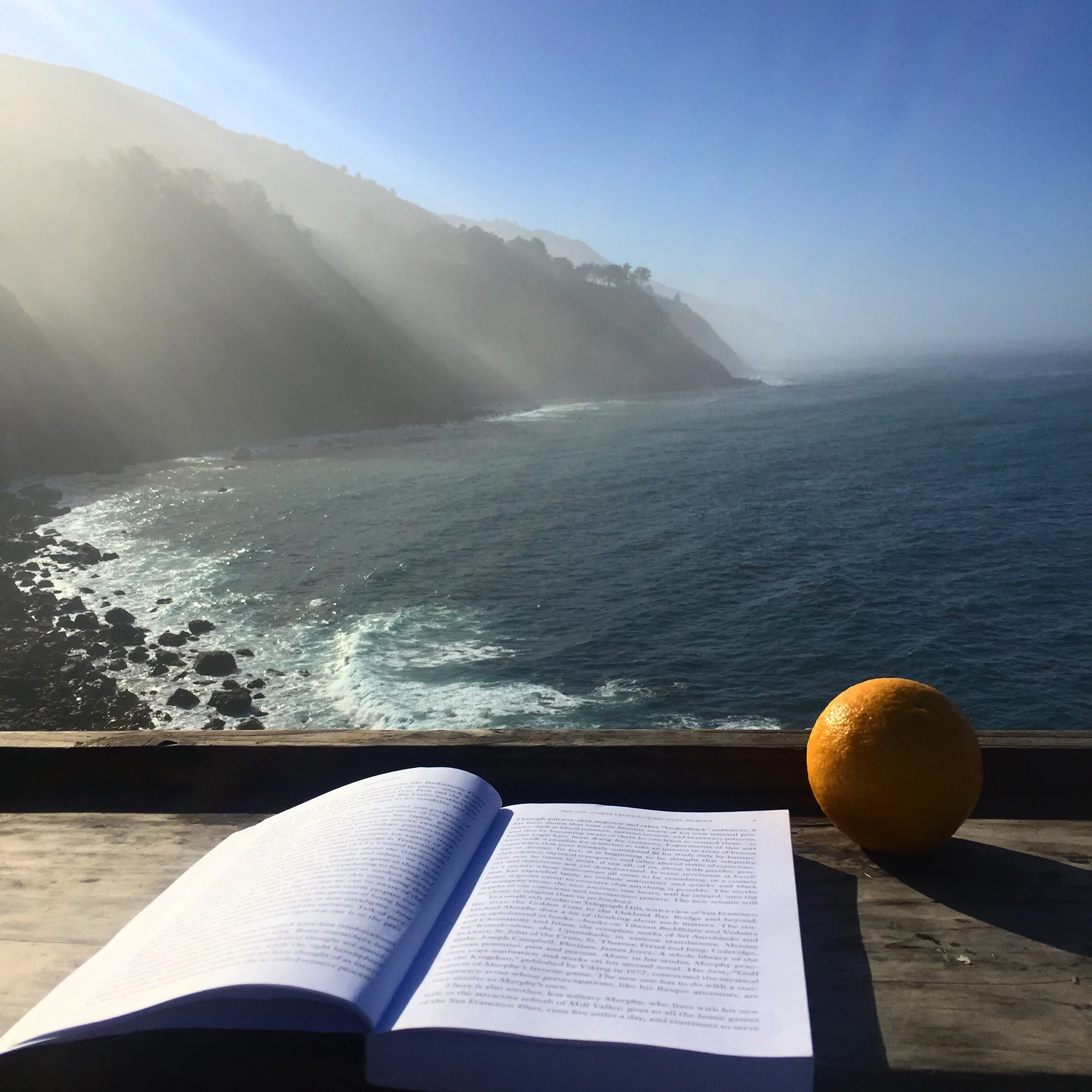 Morning breakfast and read