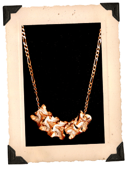 vertebrae_main3.gif