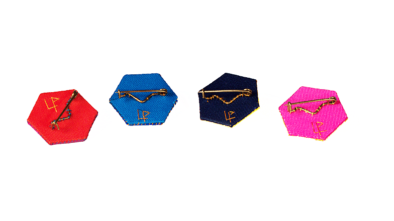 hexipinsback.gif