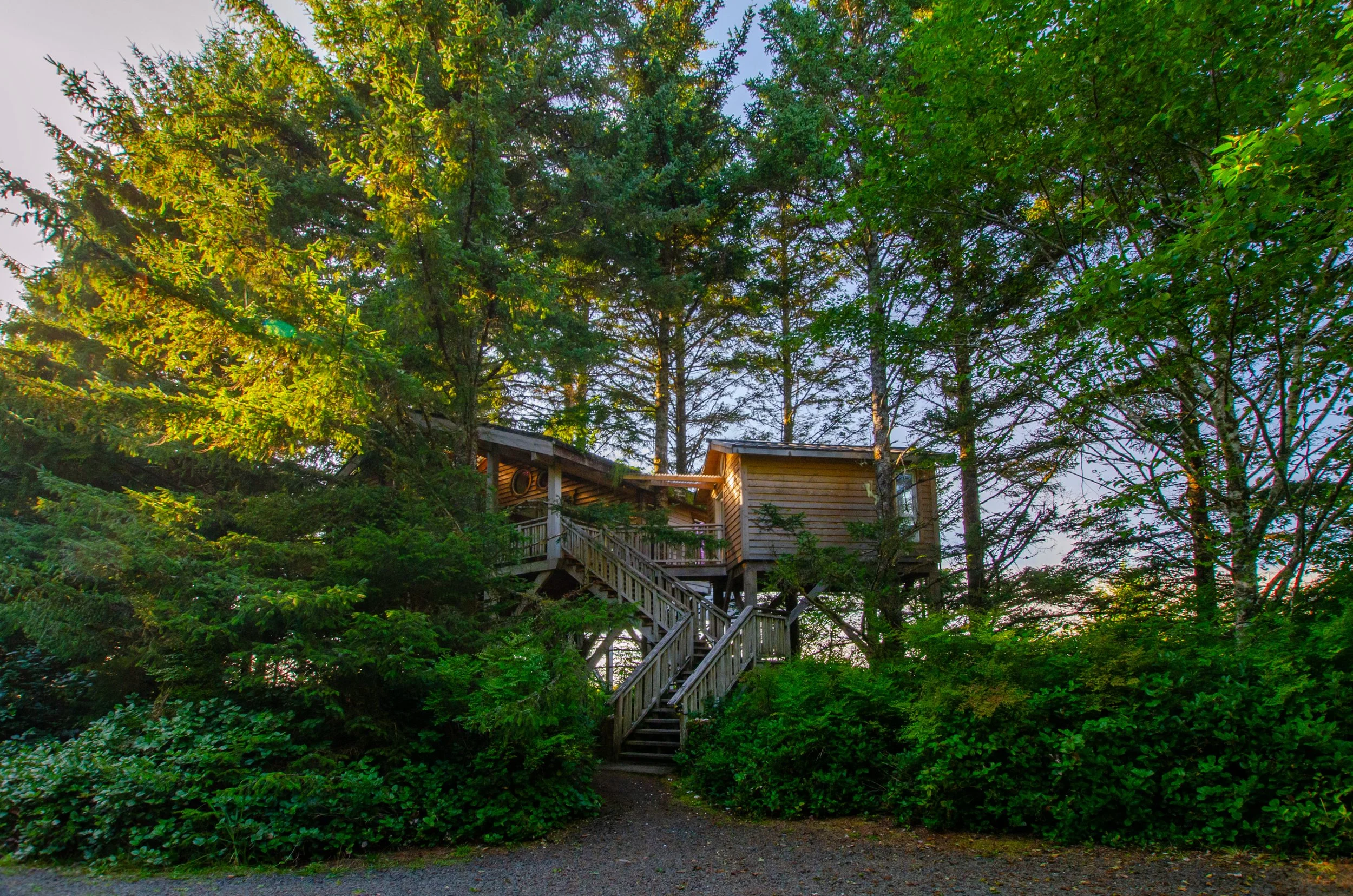 DSC_0669.jpg