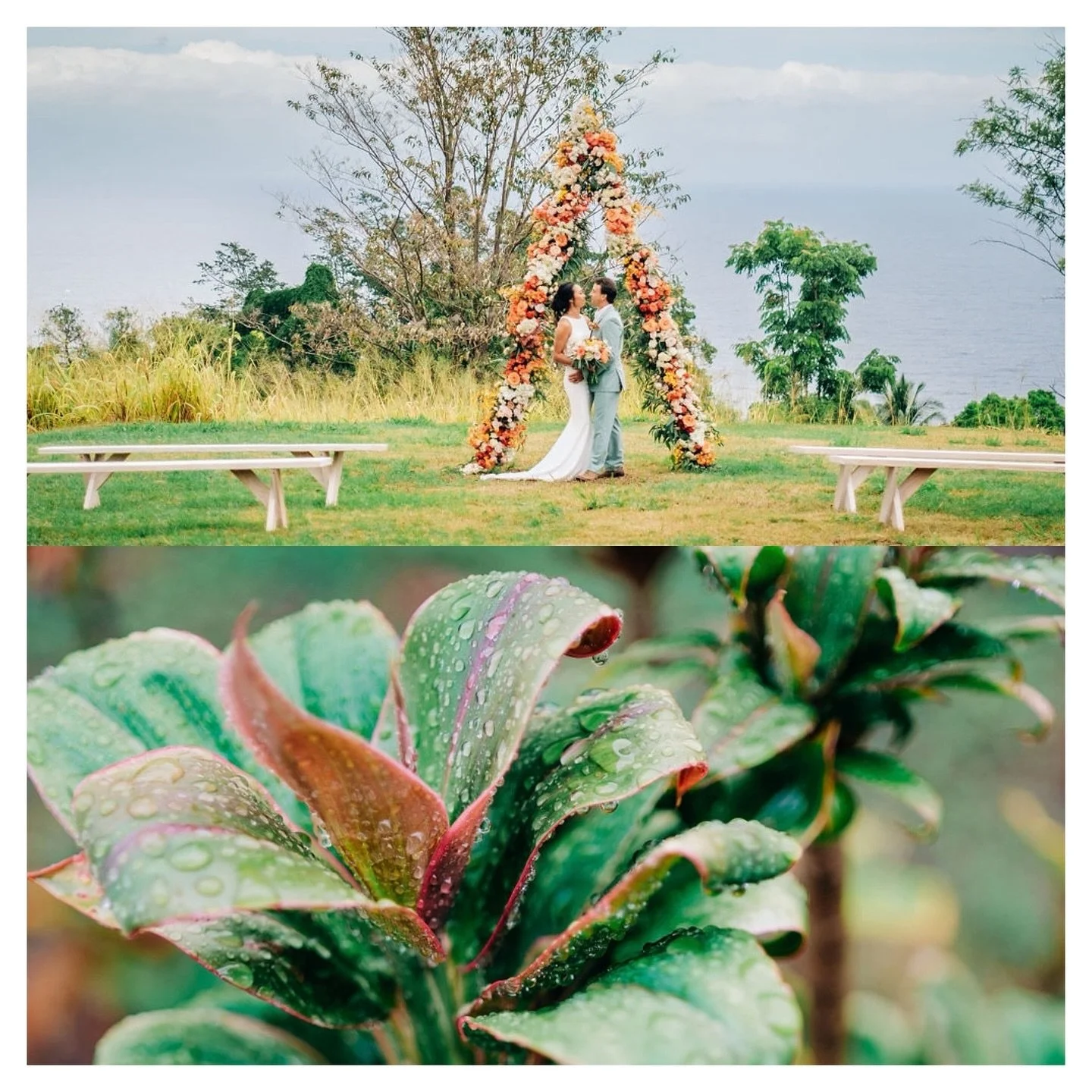 🤍🐚🕊️ Can&rsquo;t get enough of this styled shoot! 

We&rsquo;re beyond excited to help you create special moments at Pu&rsquo;uwai Gardens. Imagine making this space your own&mdash;where your unique vision becomes a reality. 

Plus, we&rsquo;re a 
