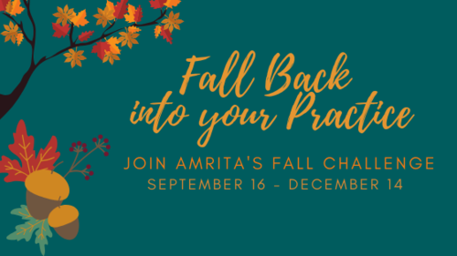 Fall Back into your Practice2-2.png