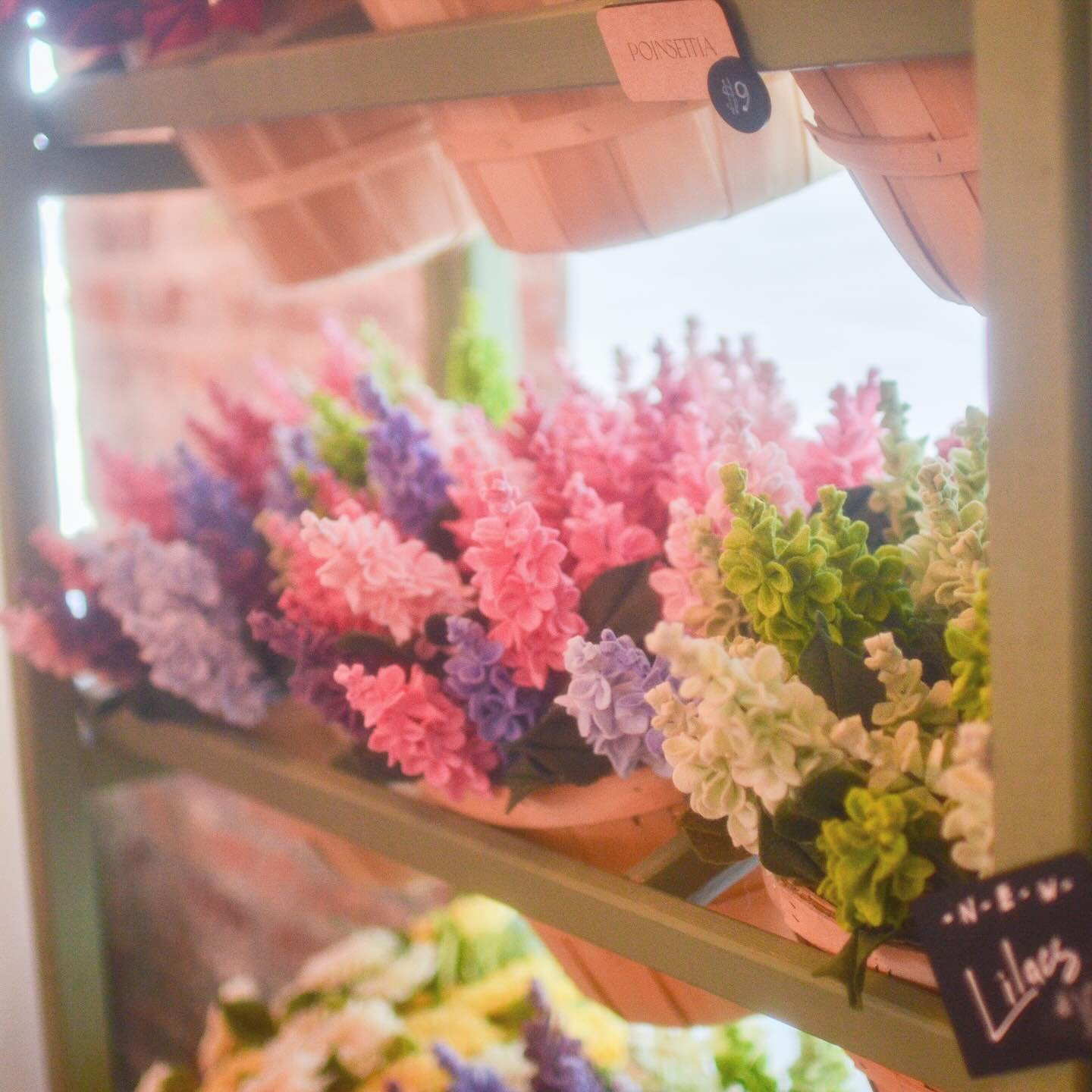 Lilacs were a hit this weekend at #indiecraftparade !

They added a fun new shape and texture to arrangements and I&rsquo;ll add in a couple new color-ways for them in the coming weeks as I restock things!

I&rsquo;d love to see pictures of your arra