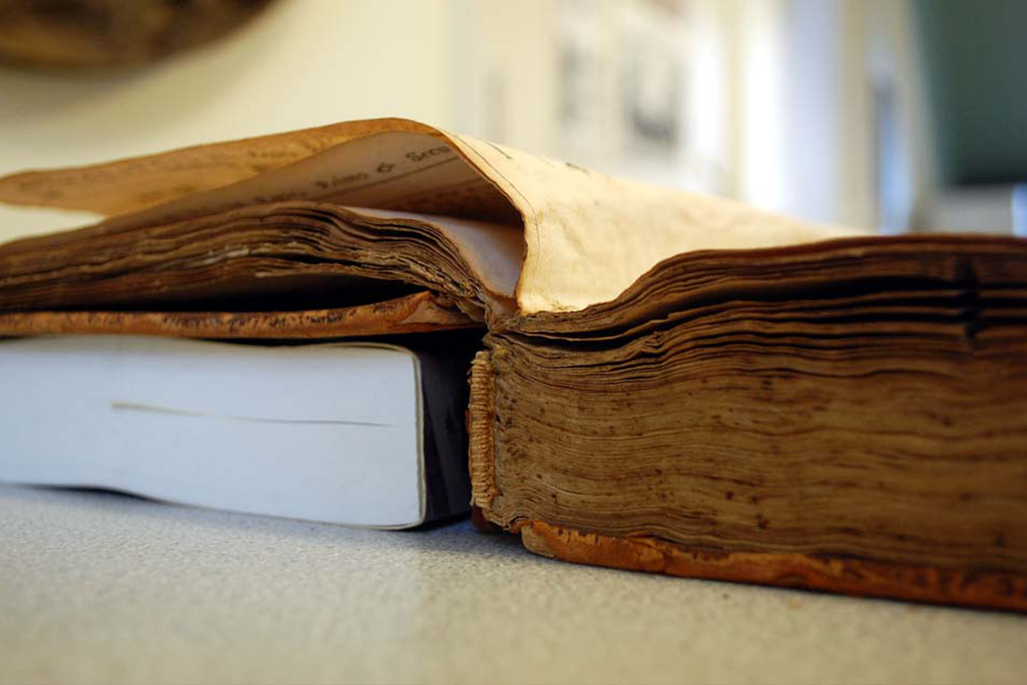 Image of an open antique book.