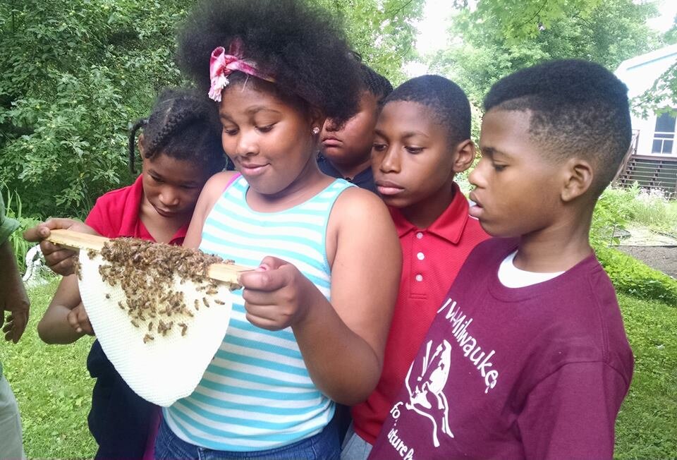 Young Farmers Looking at Bees.jpg