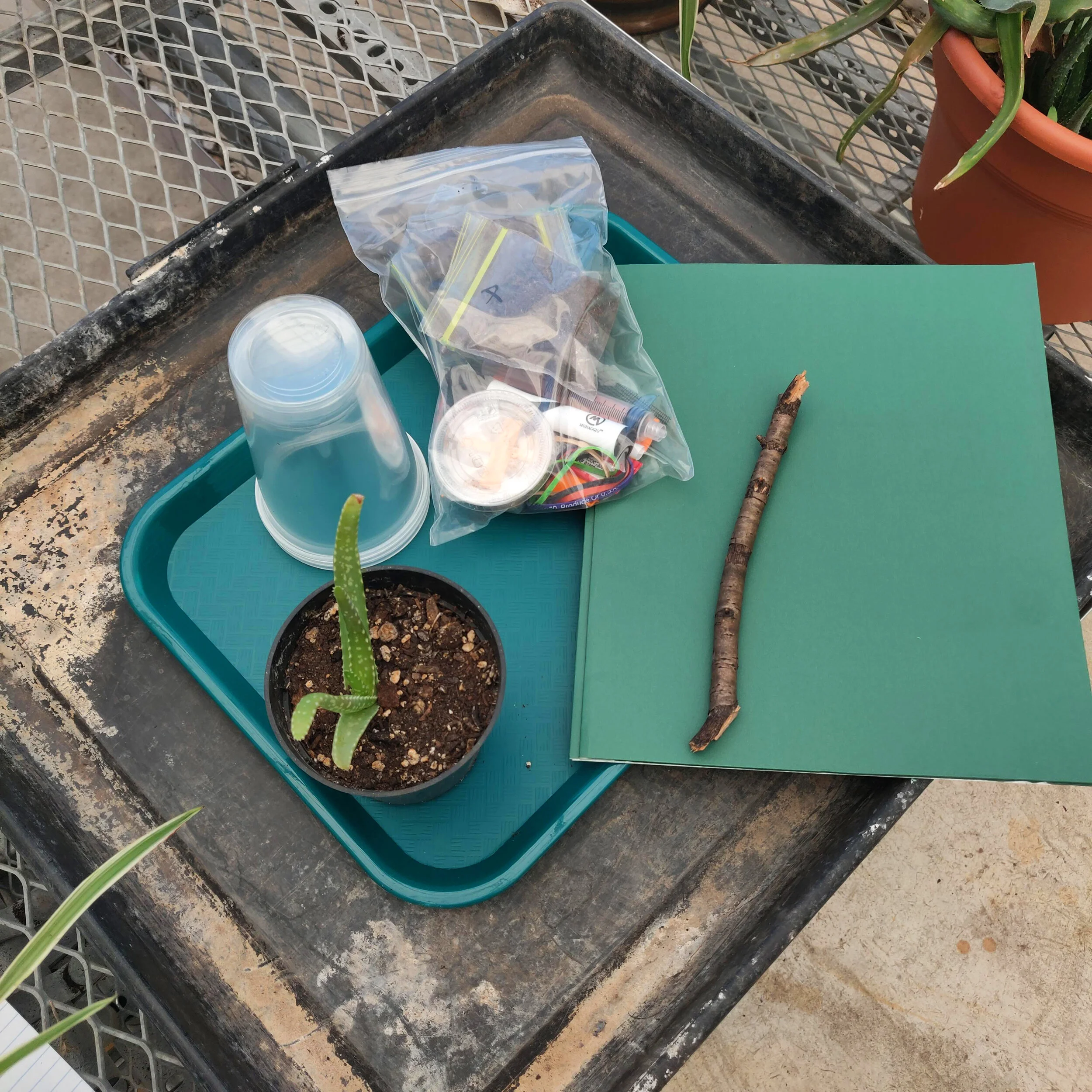 Materials in Kit _edit.jpg