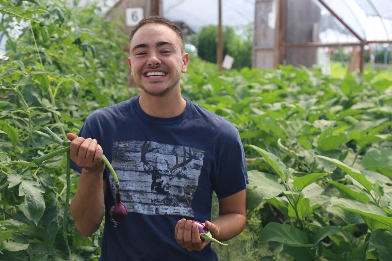 Glendale Urban Farm Donating Thousands of Pounds of Produce