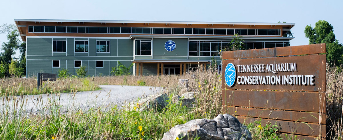 TNACI_building_with_sign_1200.jpg