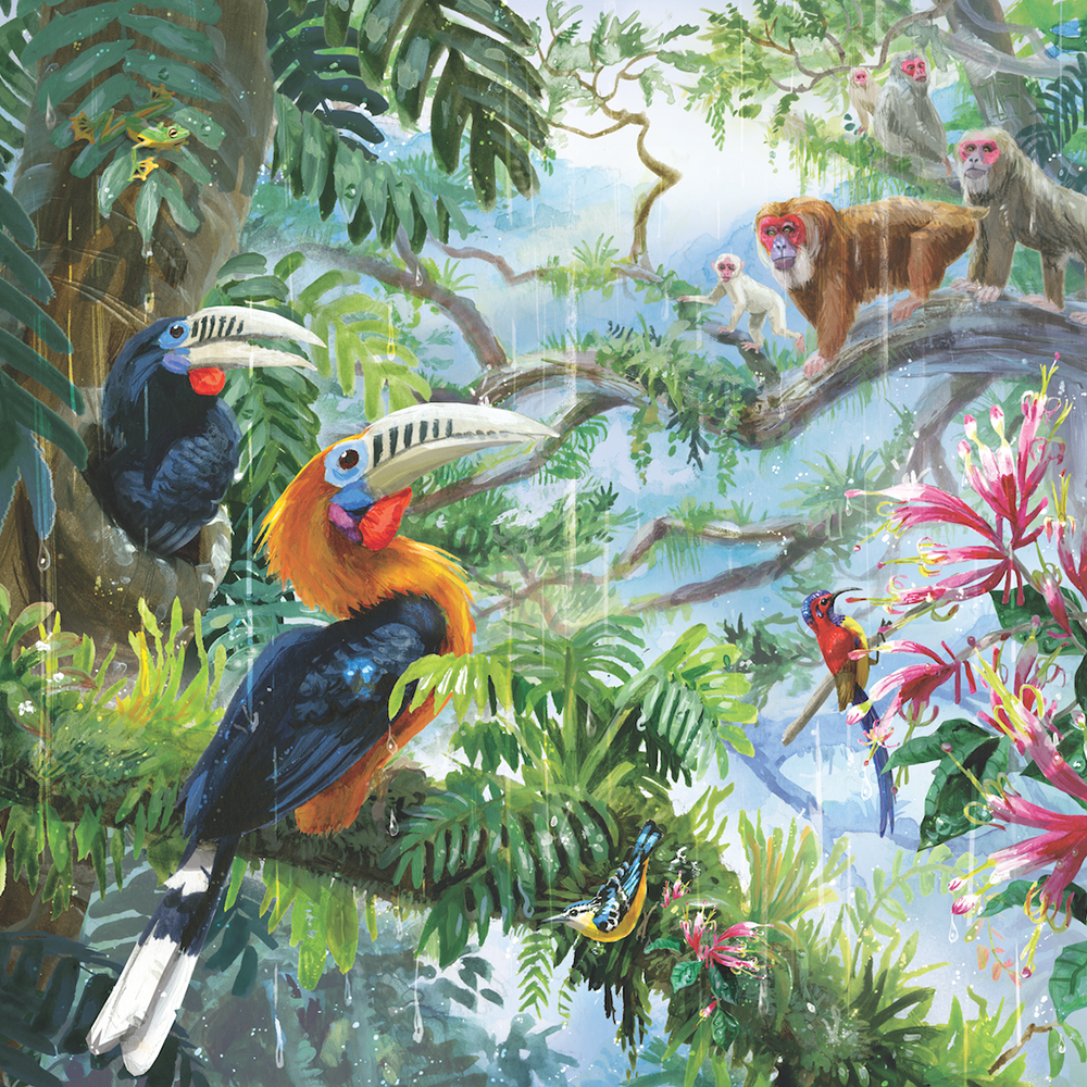 Rufous-necked-Hornbill_Stump-tailed-Macaque_Eric-Losh.png