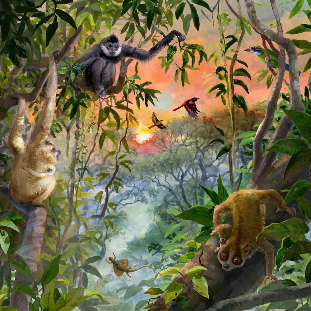 Gibbons_Pygmy-Slow-Loris_Eric-Losh.jpg