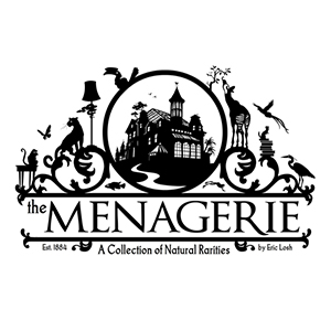 The Menagerie proposed picture book, MFA thesis, 2008