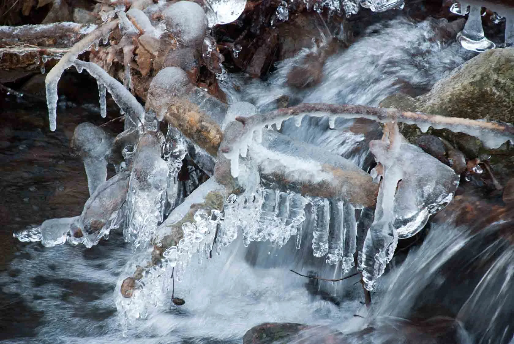 Web Pic5.jpg