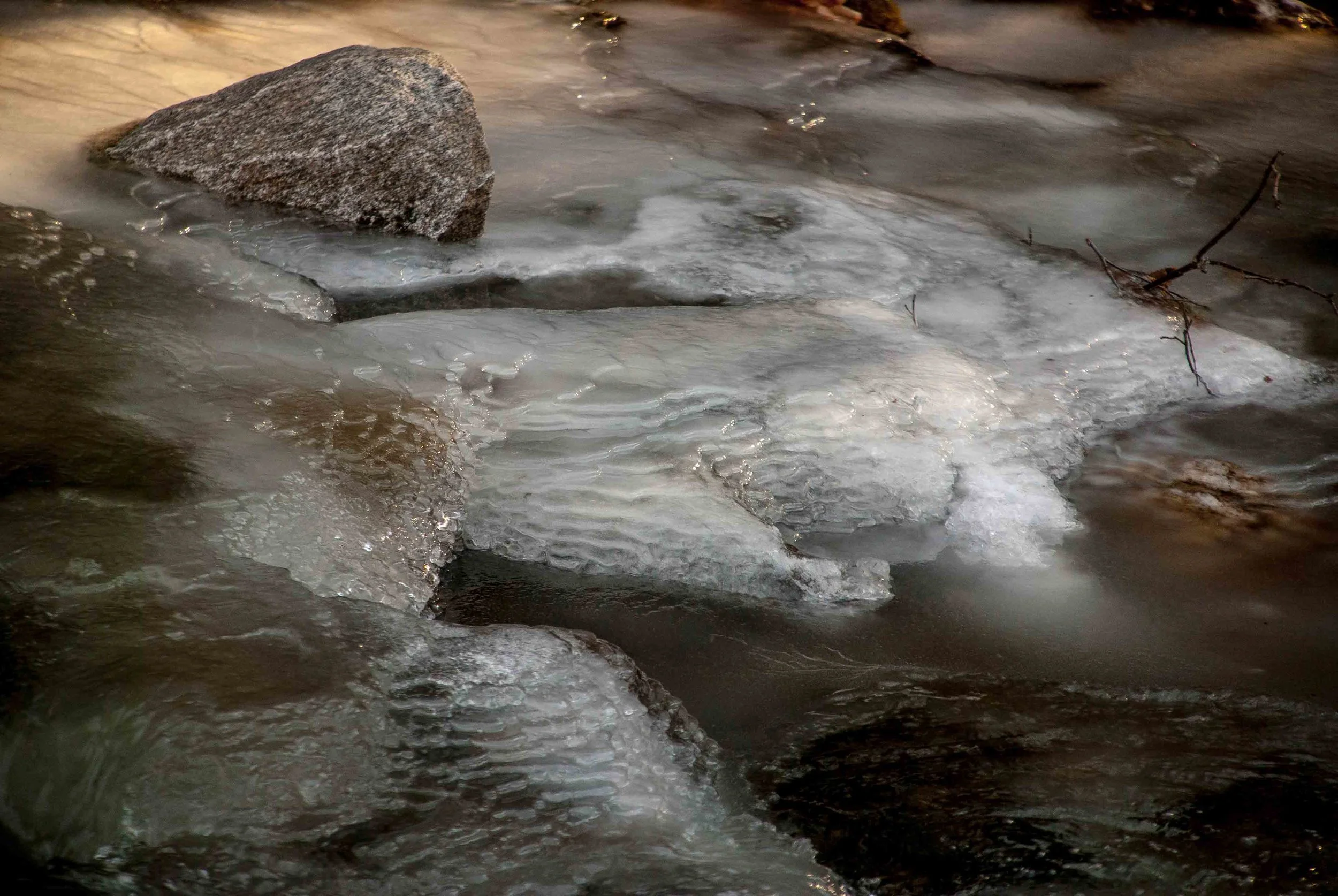 Web Pic47.jpg