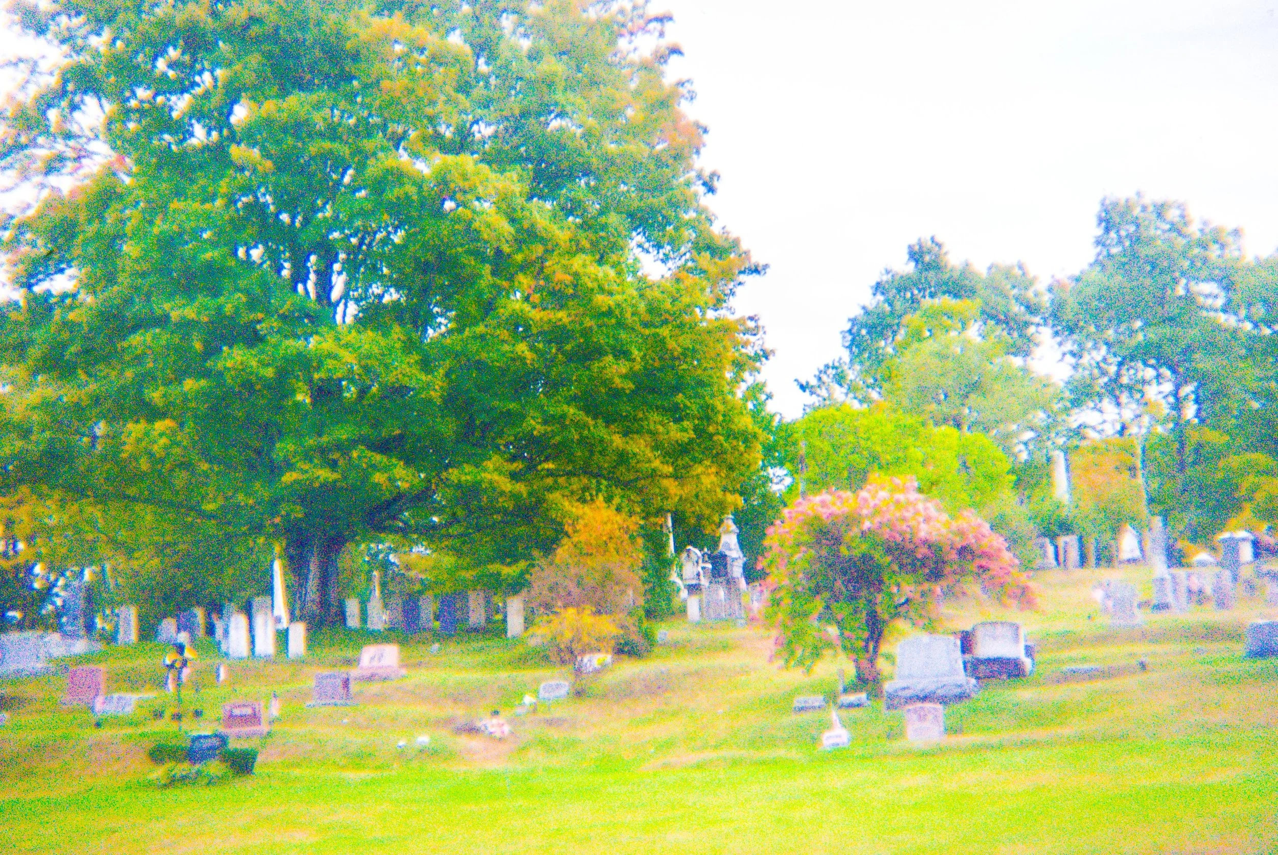 Boothbay and Southport (1 of 26).jpg
