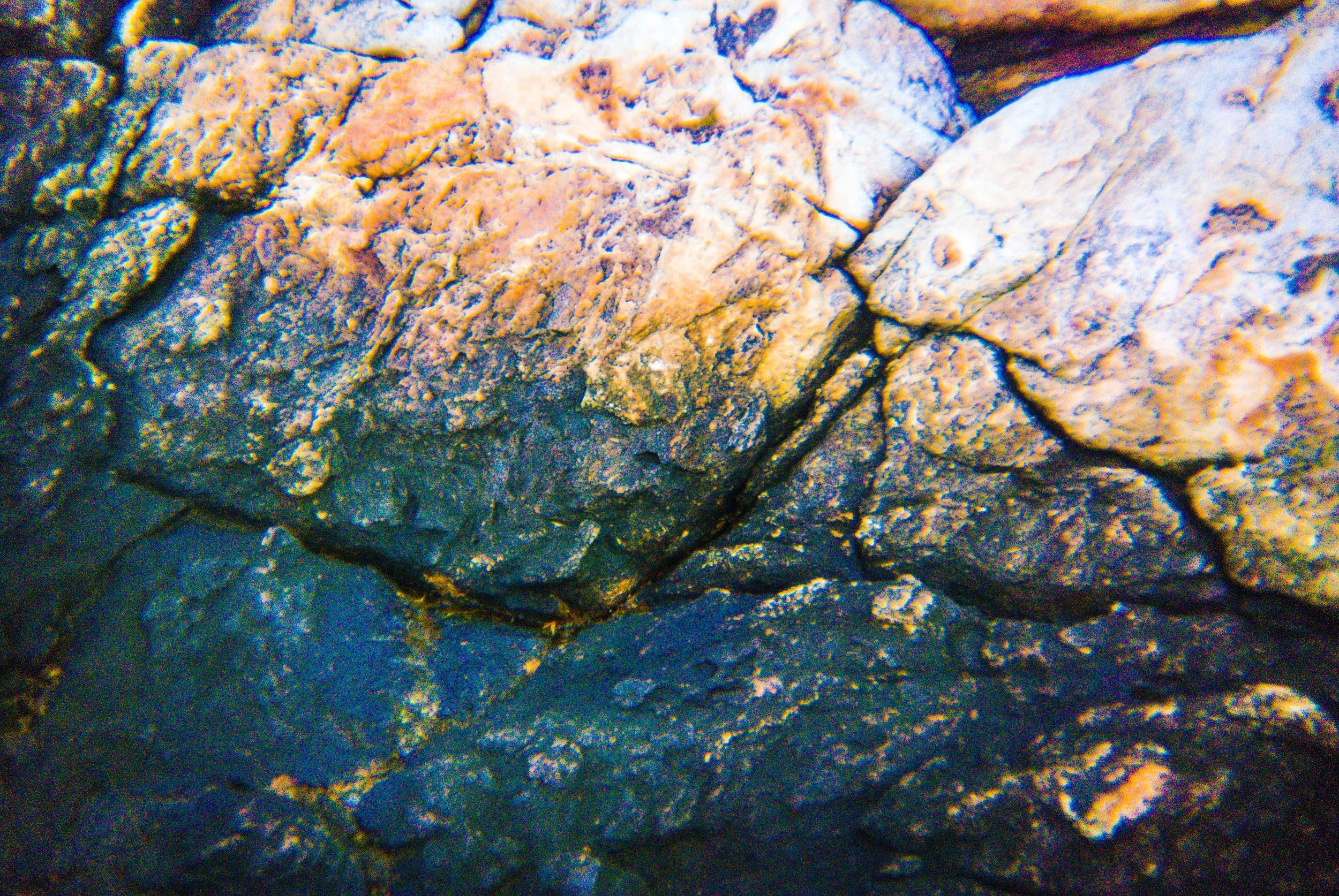 Boothbay and Southport (8 of 26).jpg