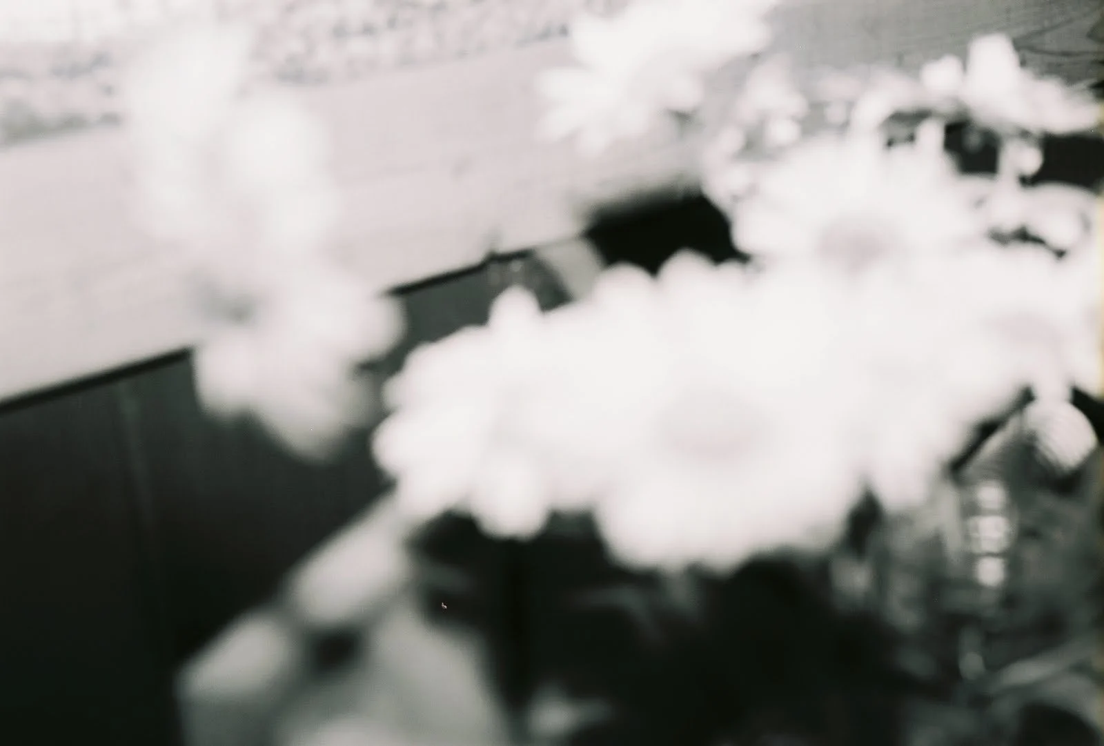 blurry flowers.jpeg