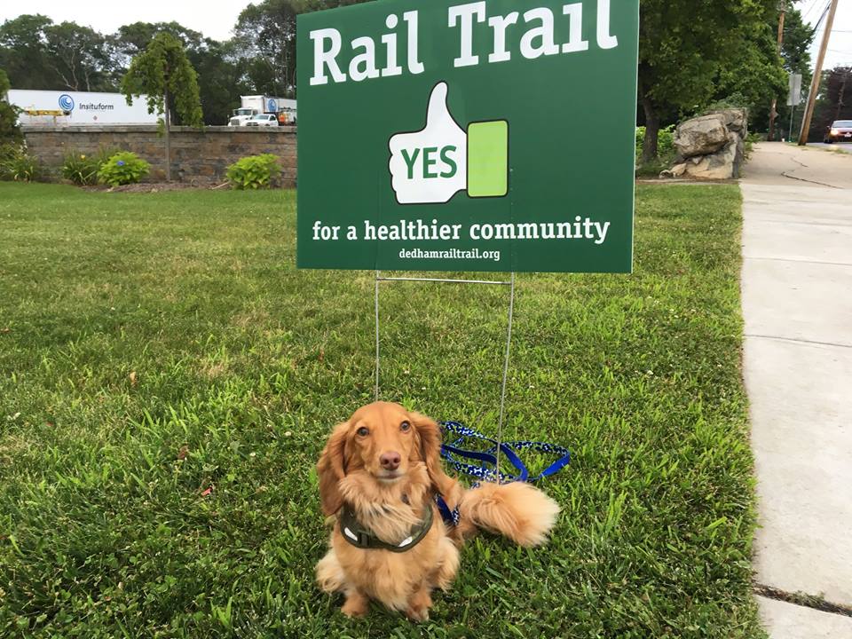 SignSelfie3.jpg