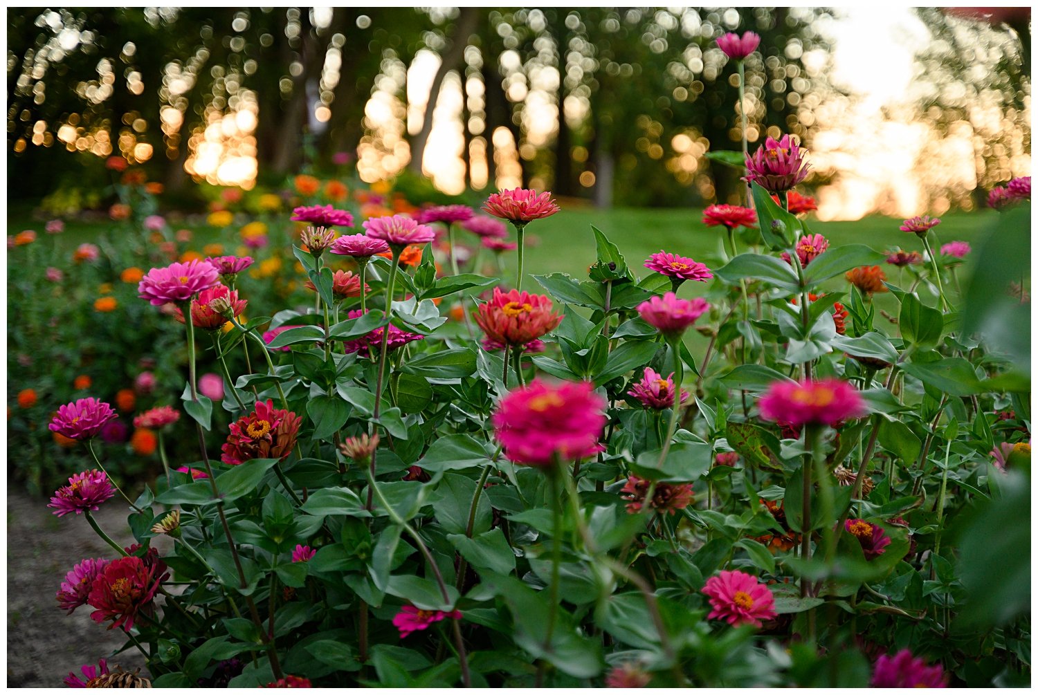 Pondview Farm Minneapolis Wedding Photographer_Bayfield Madeline Island beach photographer wisconsin minnesota jen jensen photography rush city center city scandia mora_0112.jpg