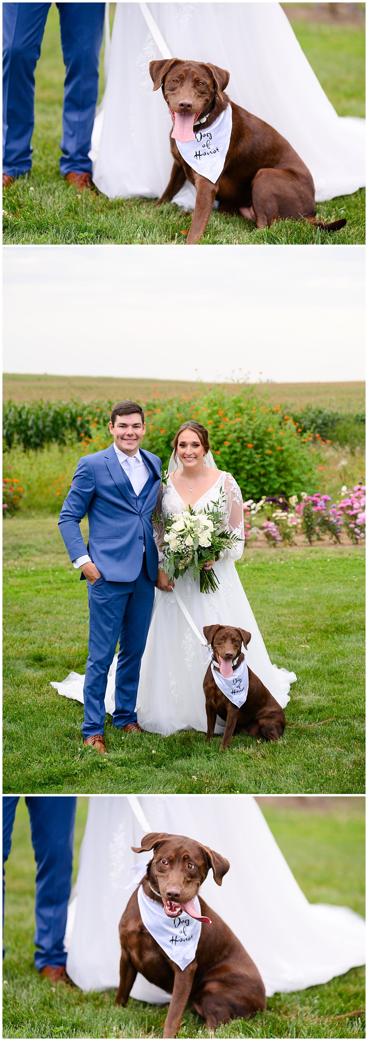 Pondview Farm Barn Cambridge Lindstrom Minneapolis Wedding_JenJensenPhotography_0399.jpg