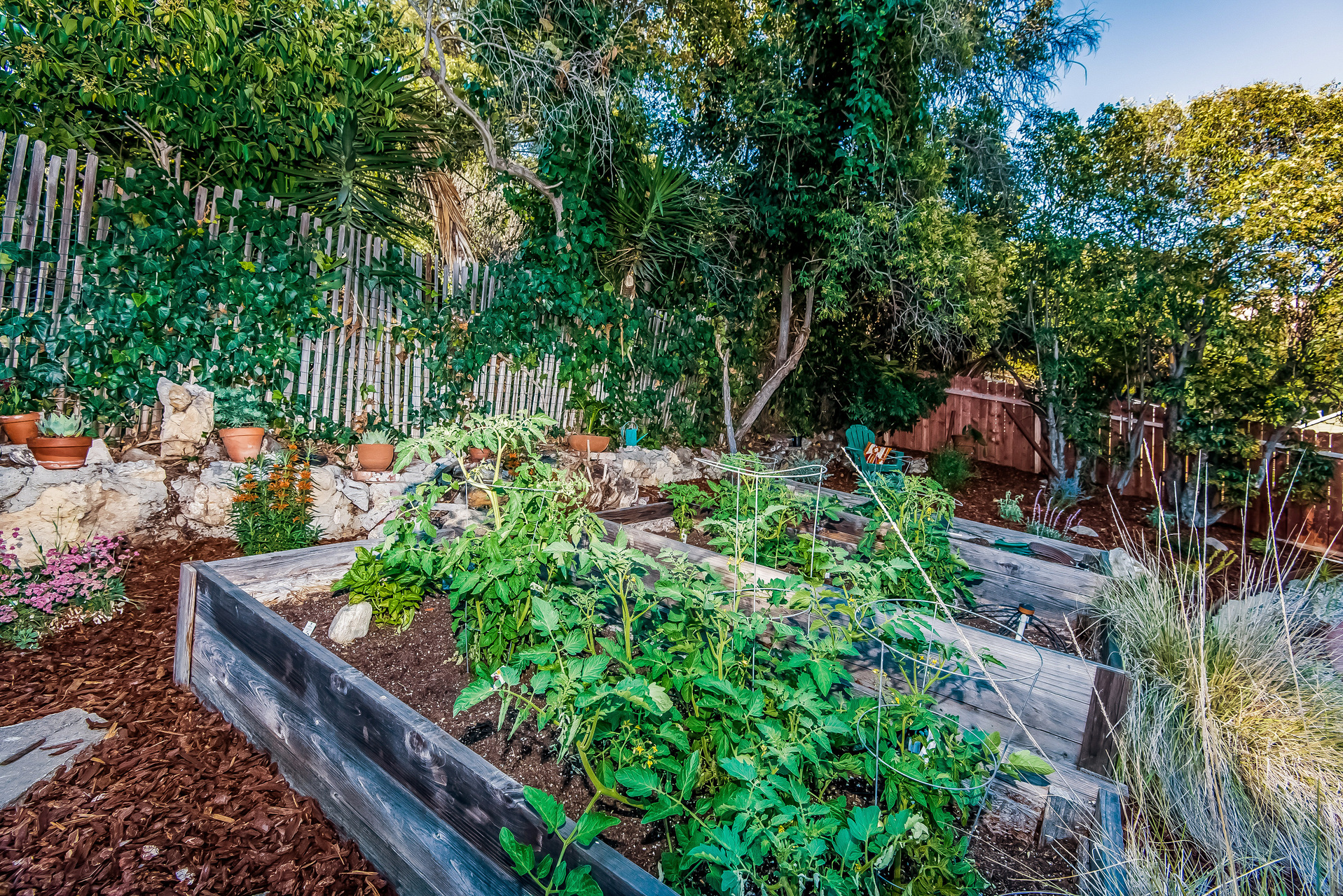 033-Upper_garden_in_backyard-2907678-medium.jpg